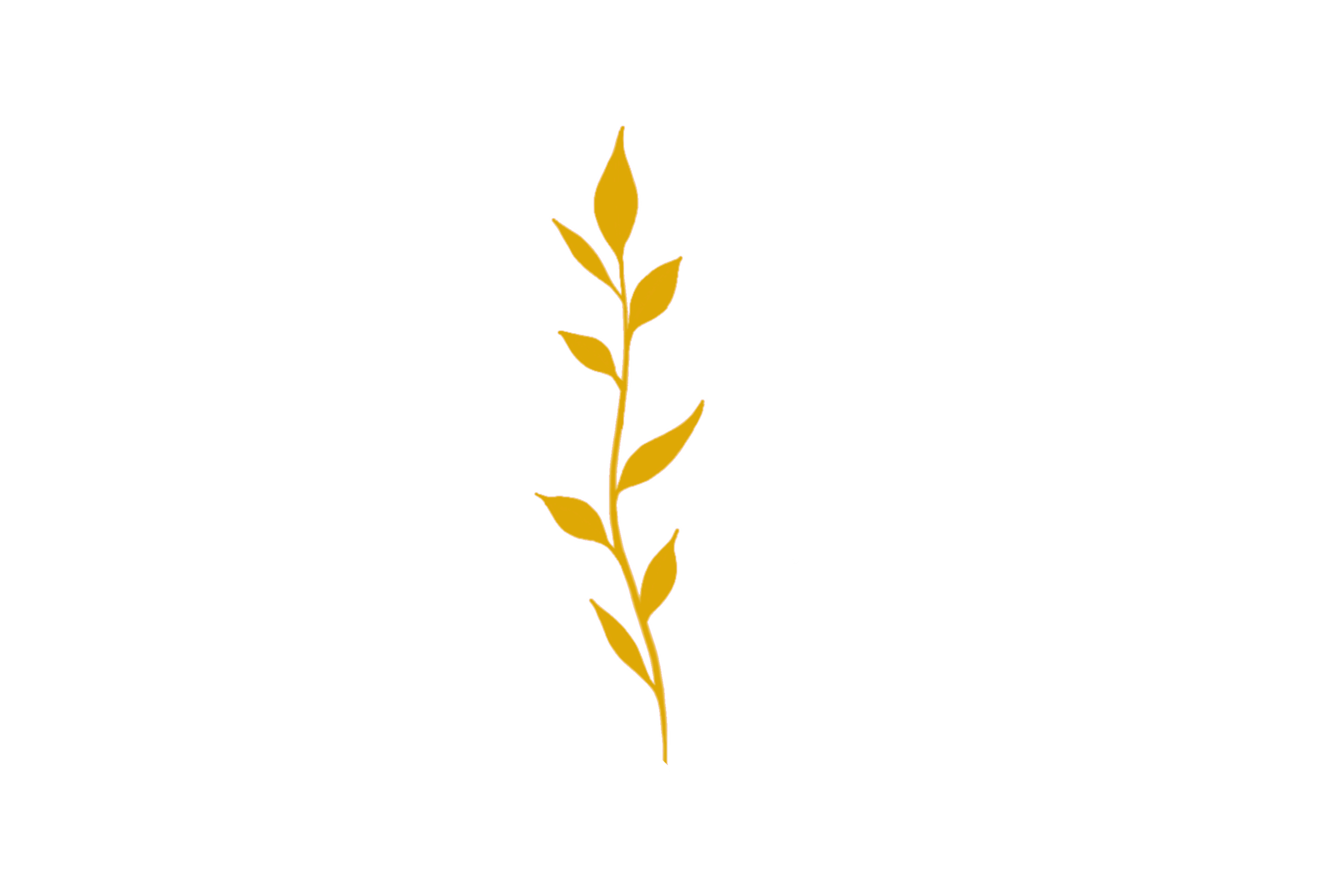 Gold-colored plant with multiple leaves on a black background.