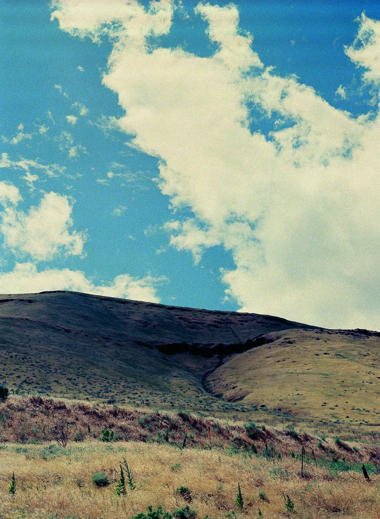 03.jpg
