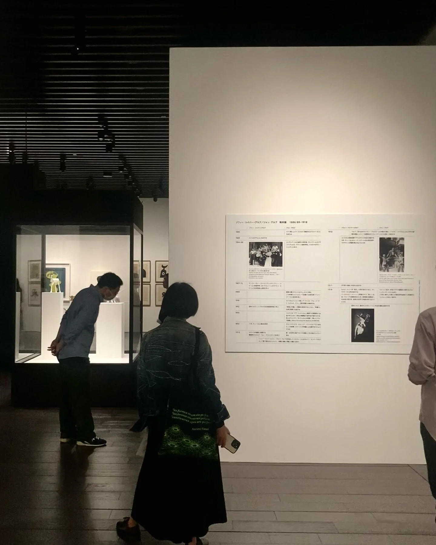抽象化
具体芸術
共鳴
異なる領域への展開
デュオ＝デッサン
夫婦というパートナー

ー
ゾフィー・トイバー=アルプとジャン・アルプ
2025年3月1日[土] - 6月1日[日]
アーティゾン美術館