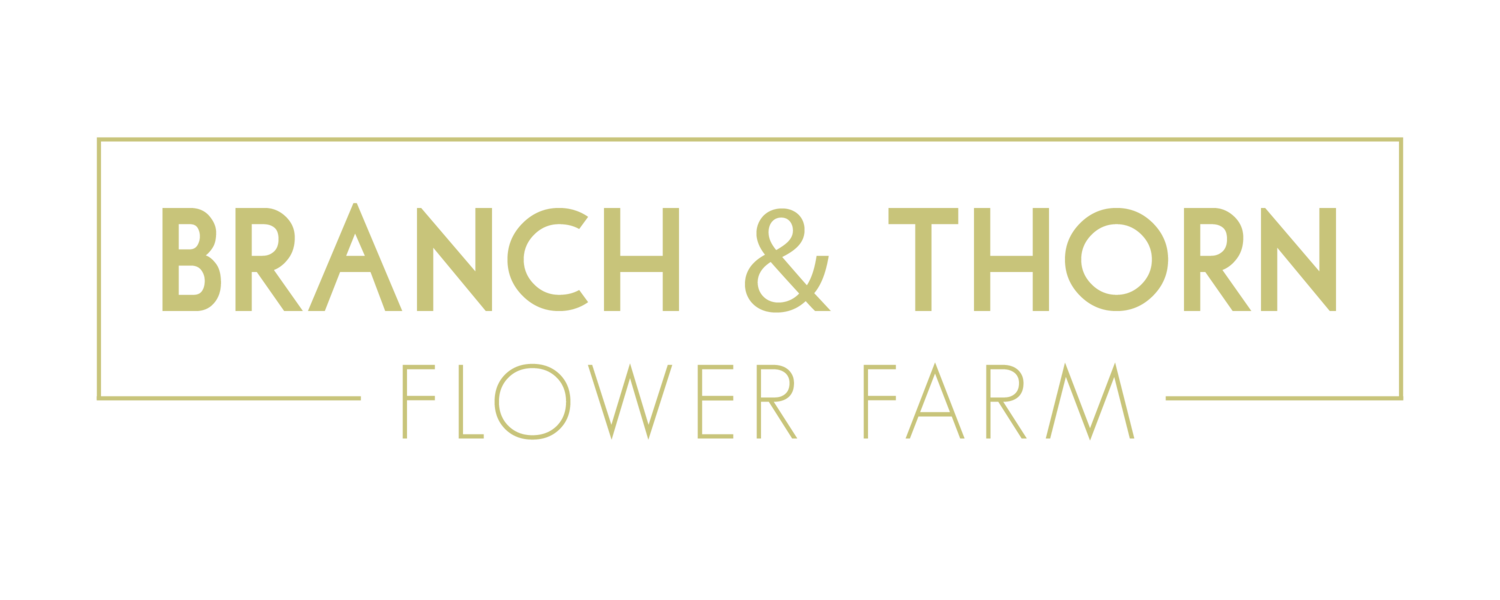 Branch &amp; Thorn Flower Farm