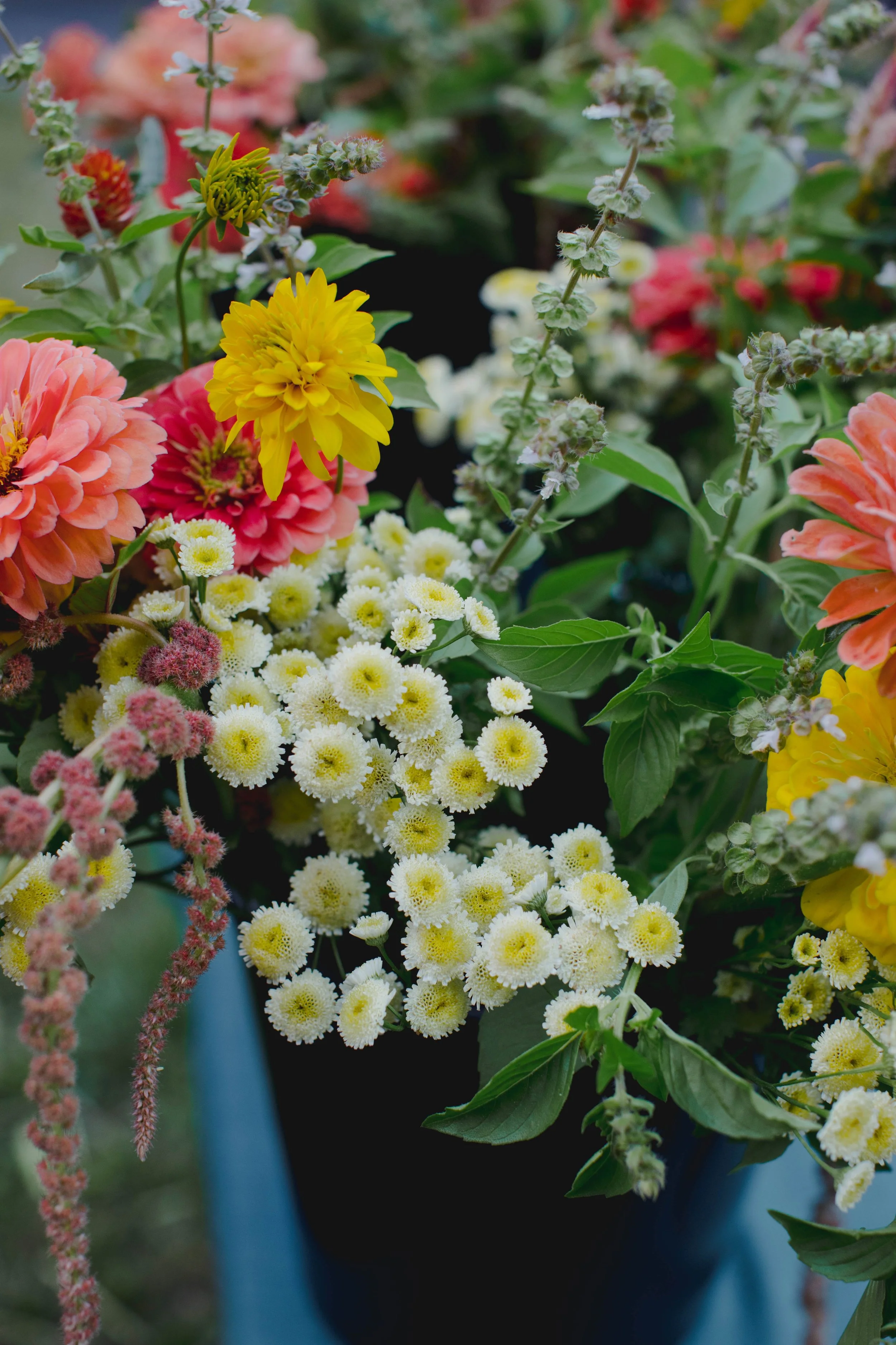 DIY Bucket of yellow and coral mixed flowers including feverfew, zinnias, amaranth, basil