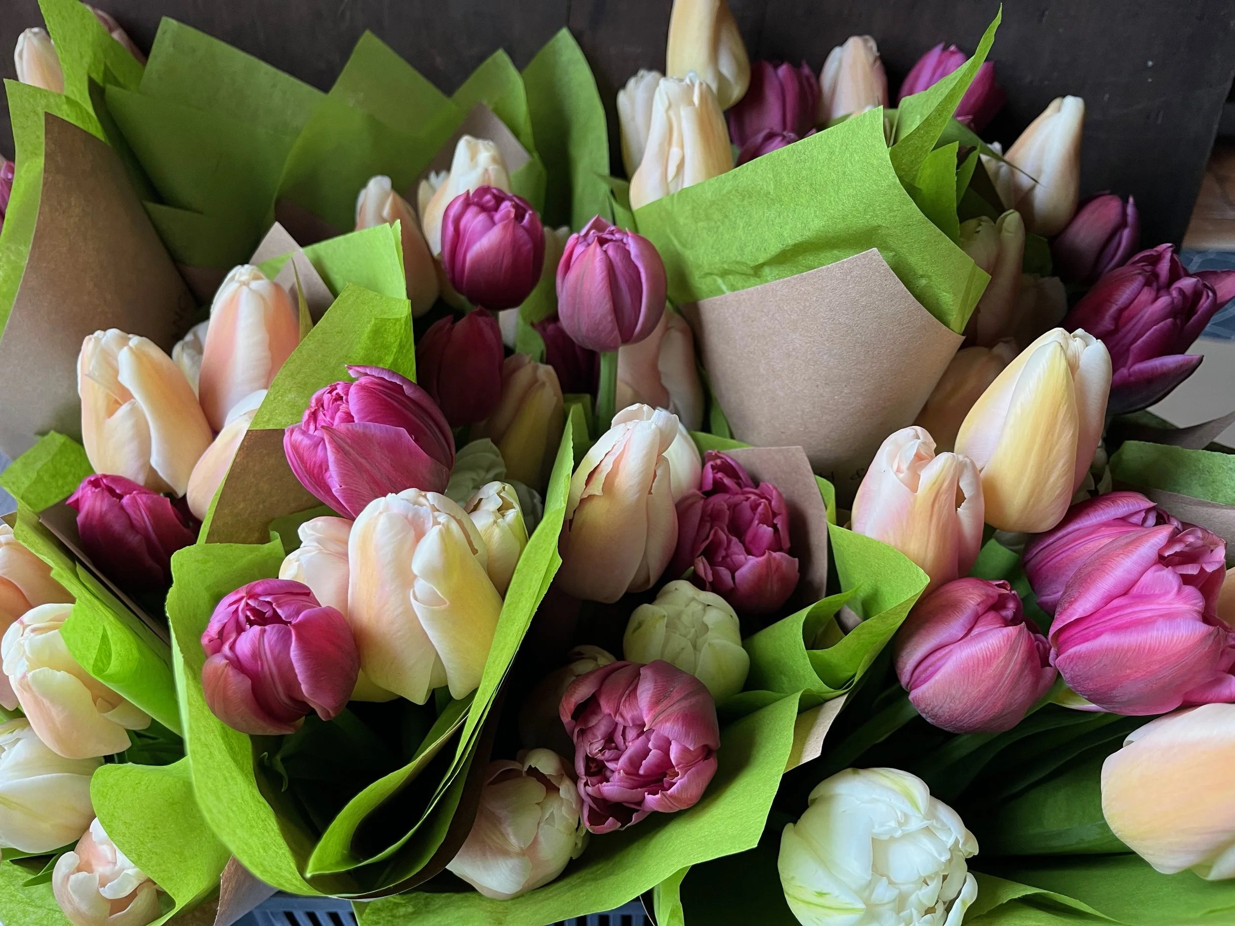 IMG_1531.jpeg (Copy)