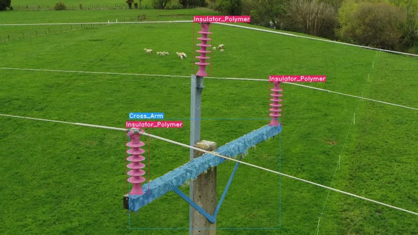 A rural electric power pole with insulator polymer components and cross arm, with cows grazing in the background.
