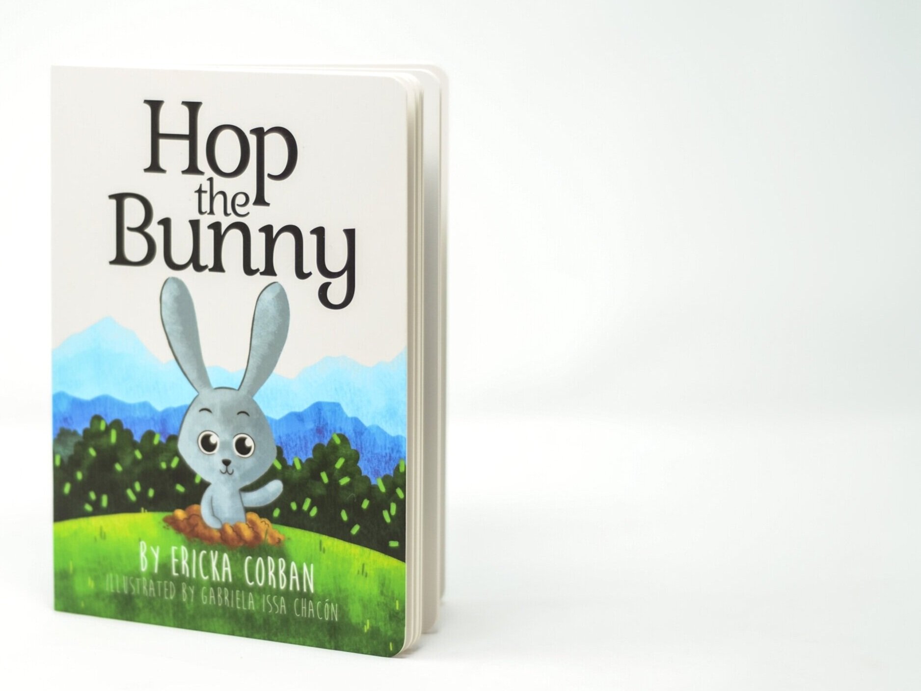 HOP%2BBoard%2Bbook%2B%252811%2Bof%2B11%2529.jpg