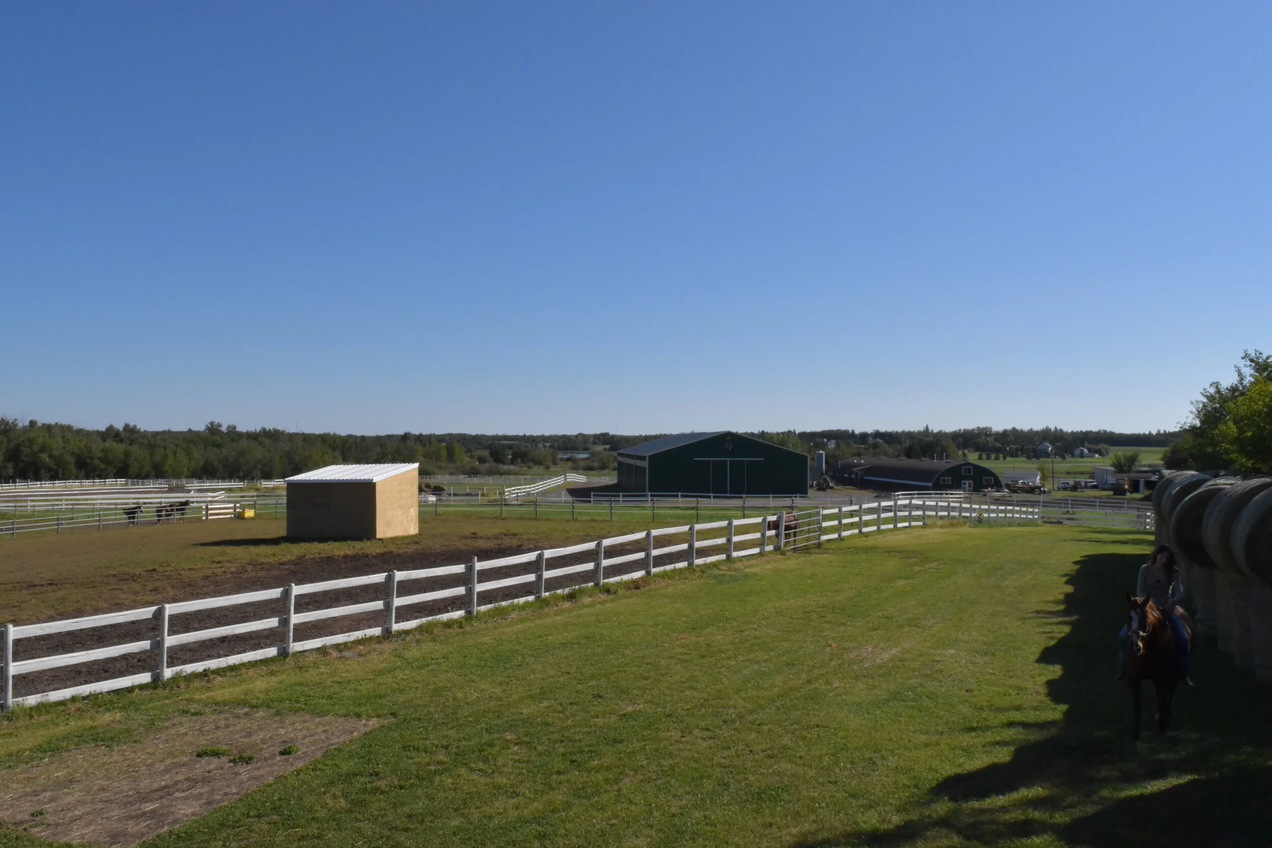 dsc_0204.jpg