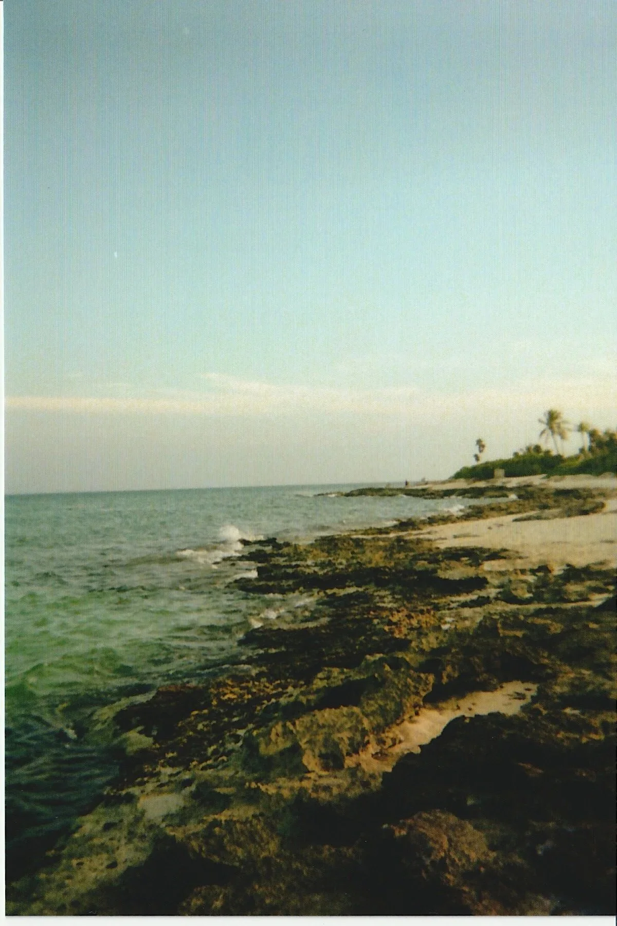 File_013.jpg