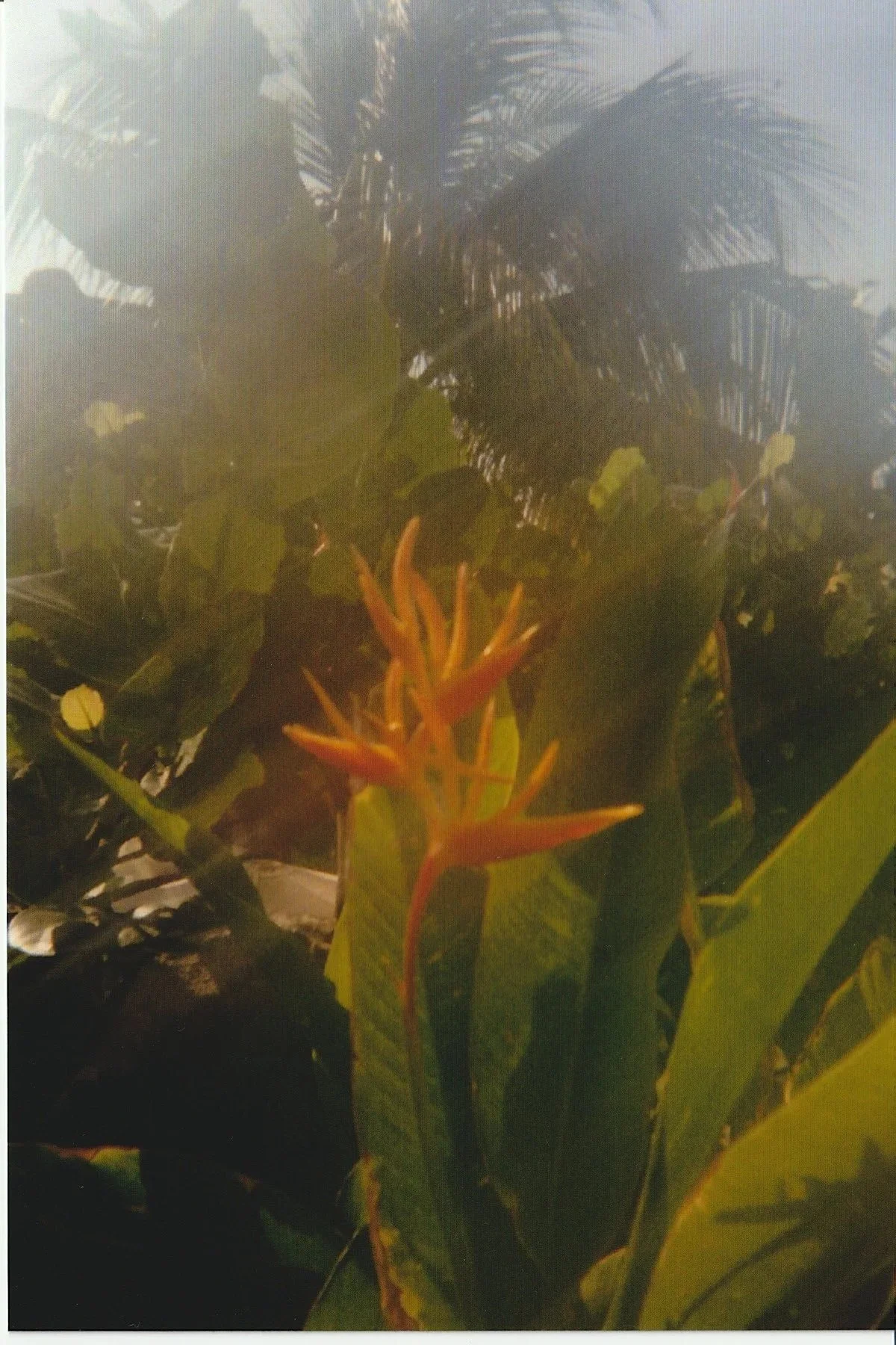 File_014.jpg