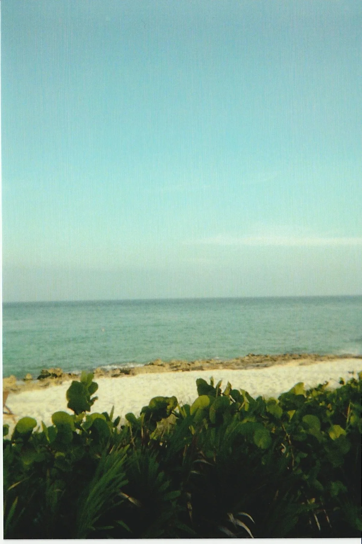 File_011.jpg