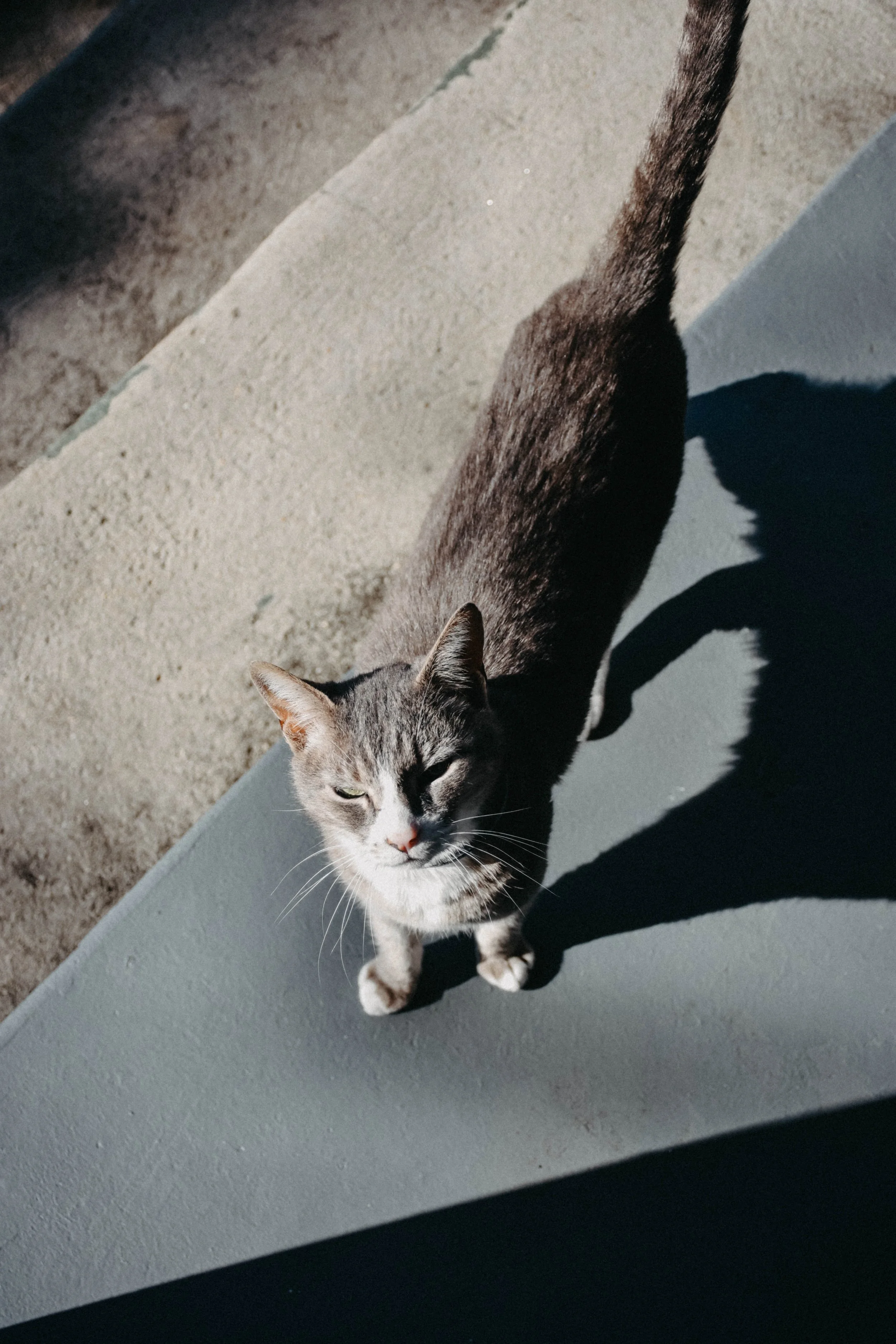 DSC_2612.jpg