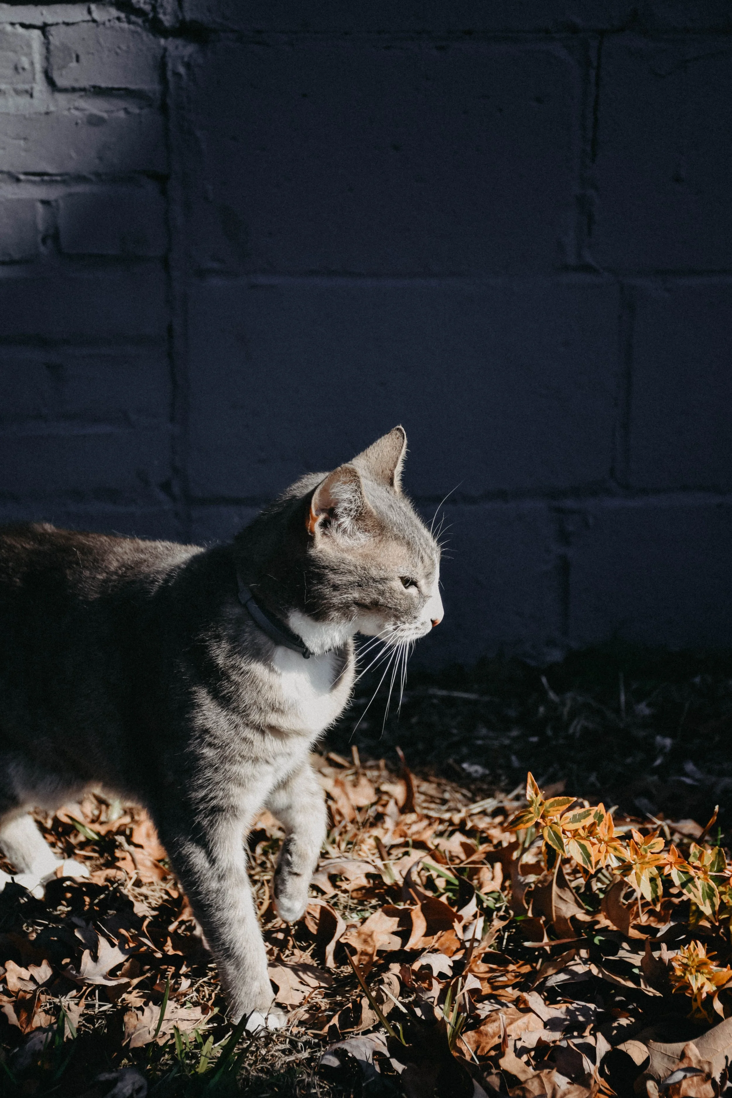 DSC_2635.jpg
