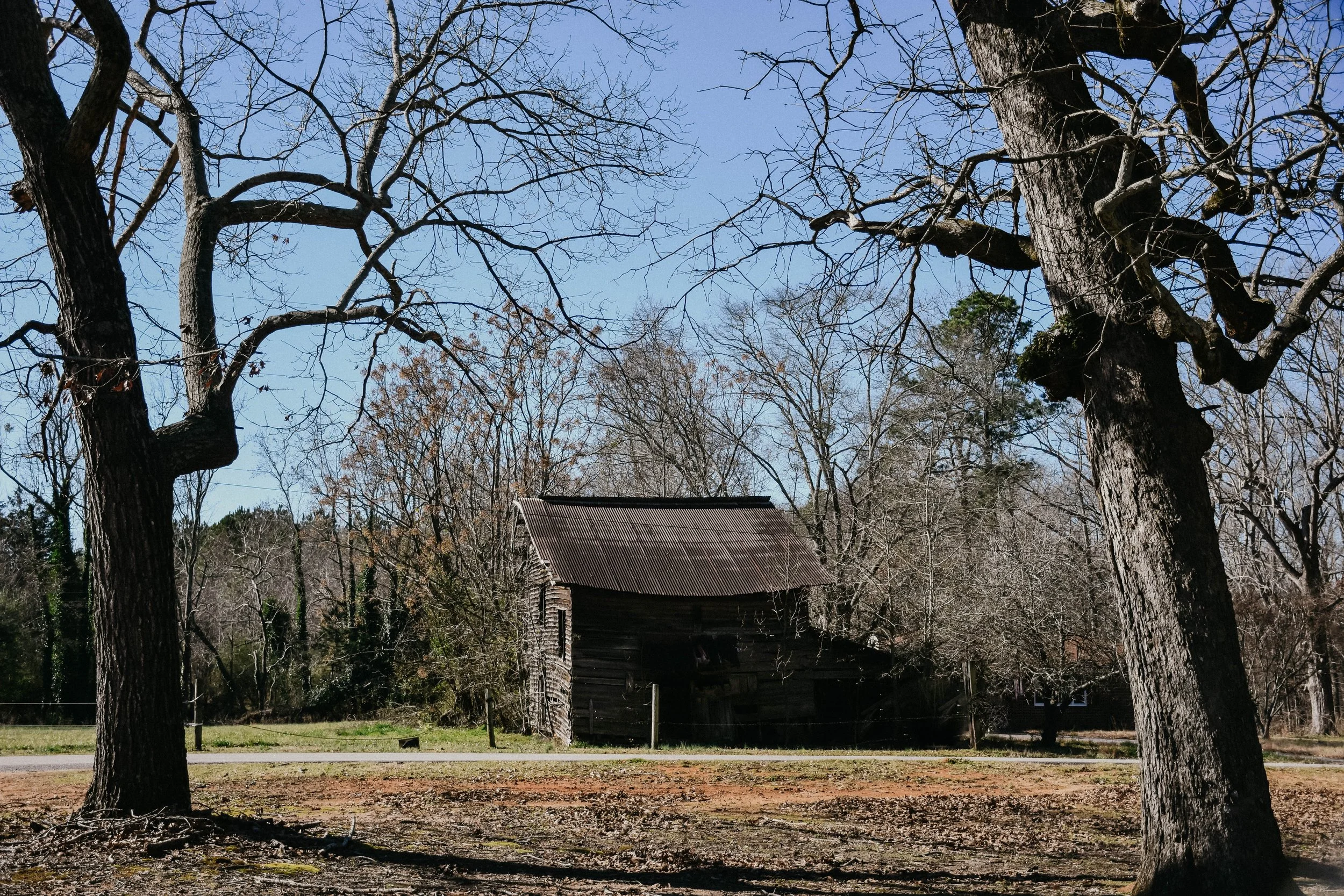 DSC_2544.jpg