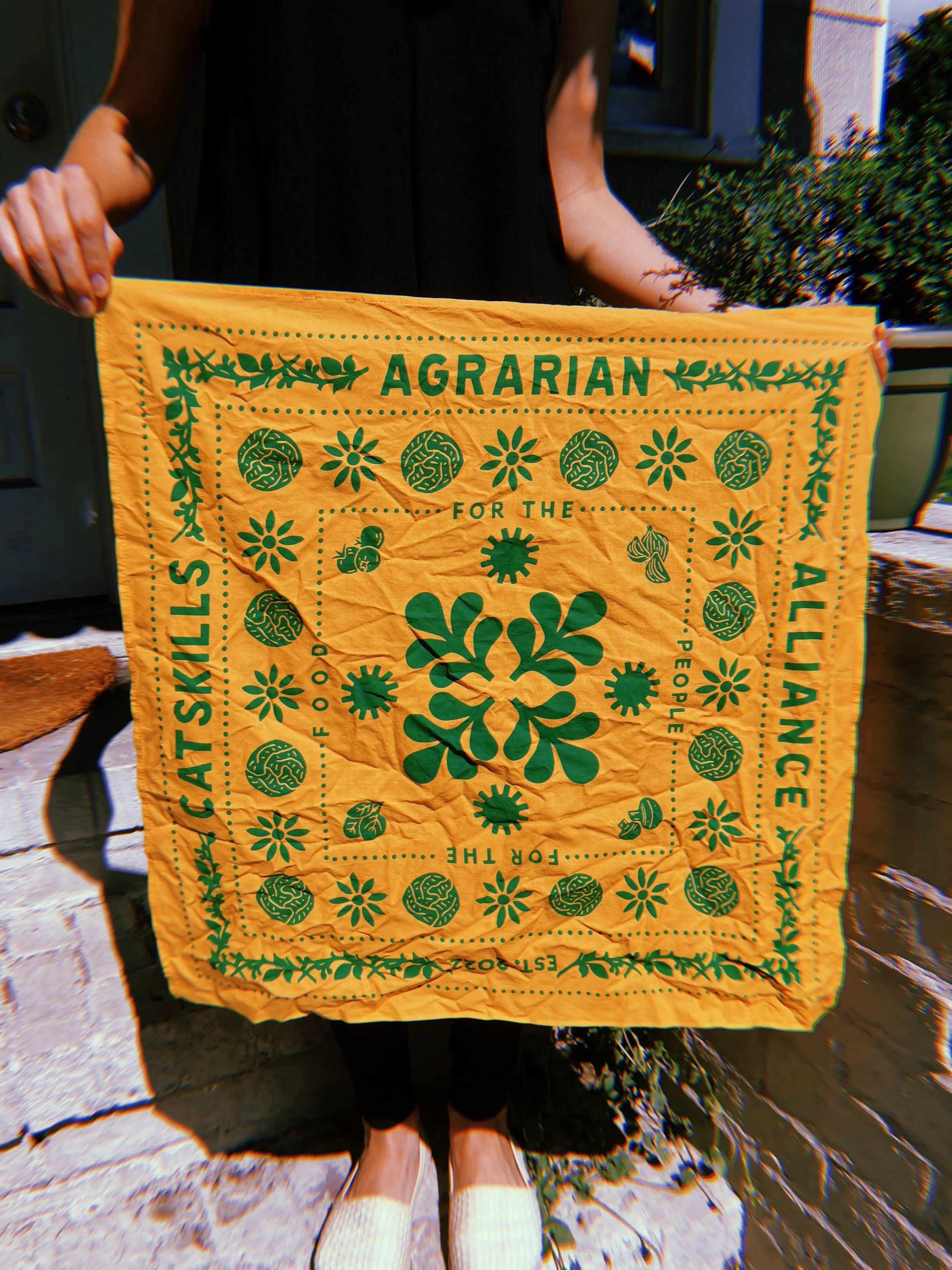 2024-08-19 10:53:12.936.jpeg