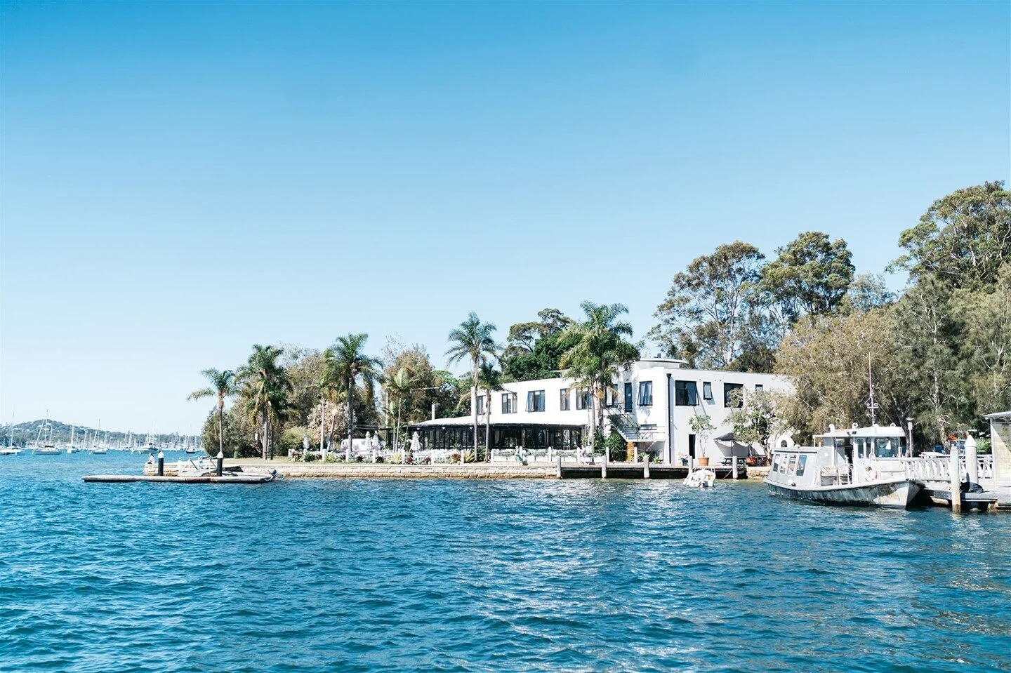 If you are looking for for a ceremony location right on the water, be sure to check out @pasadenasydney. ⁠
⁠
Palm trees, boat arrivals, beautiful reception area. ⁠
Great spot for a wedding or some Sunday arvo drinks.⁠
⁠
#marryusgary⁠
#pasadenasydney
