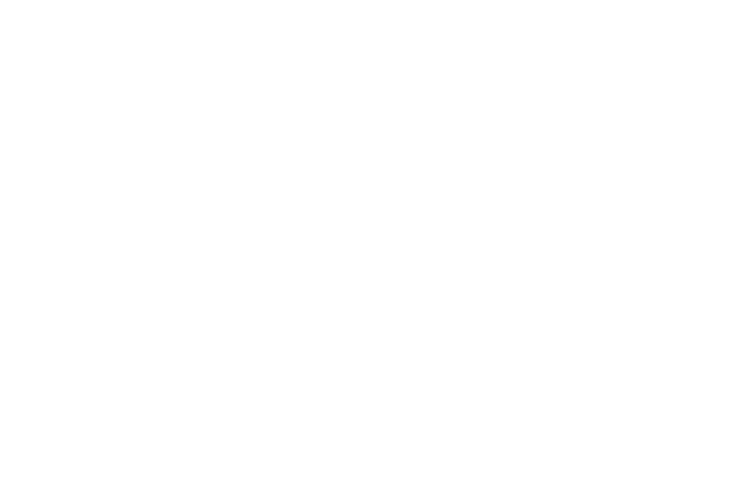 holleekcreative
