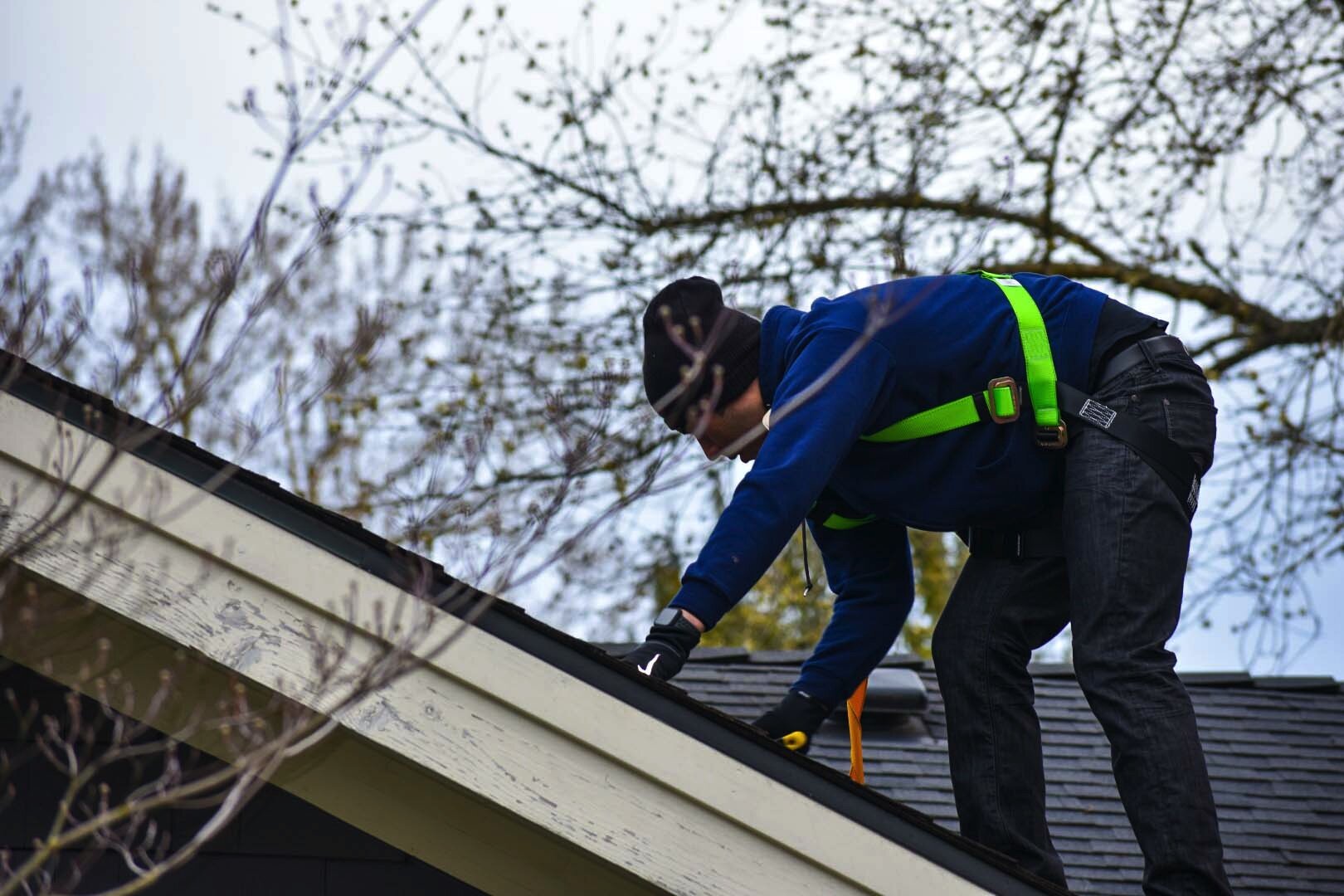 Factoria WA Roof Cleaning