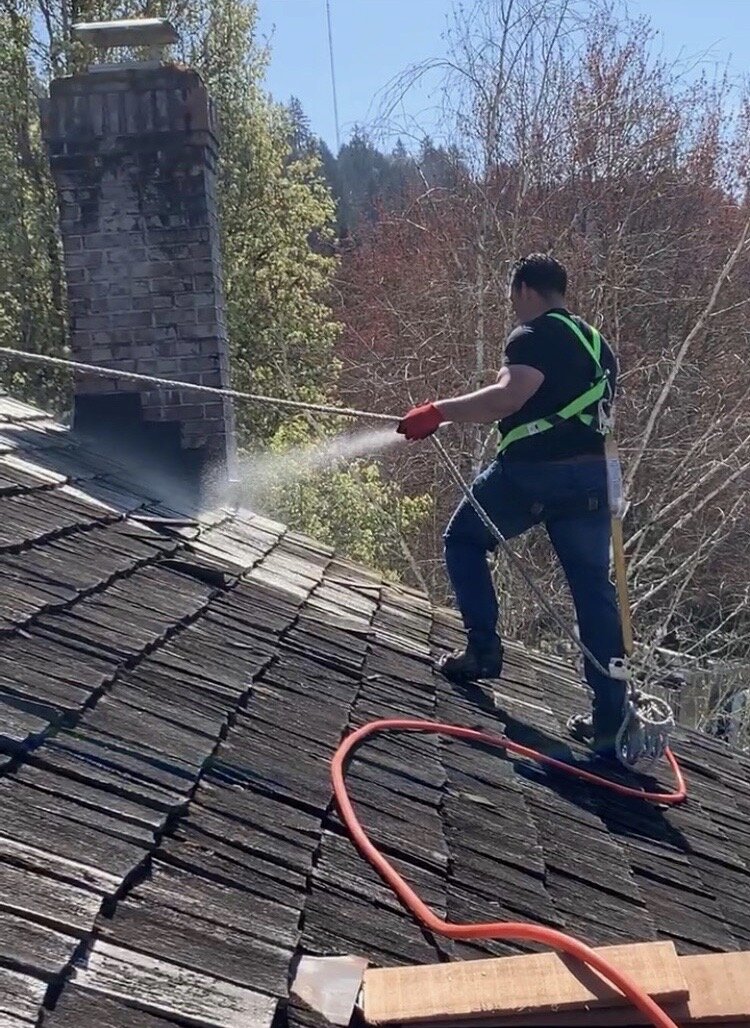 Portland Cedar Roof Cleaning.JPG