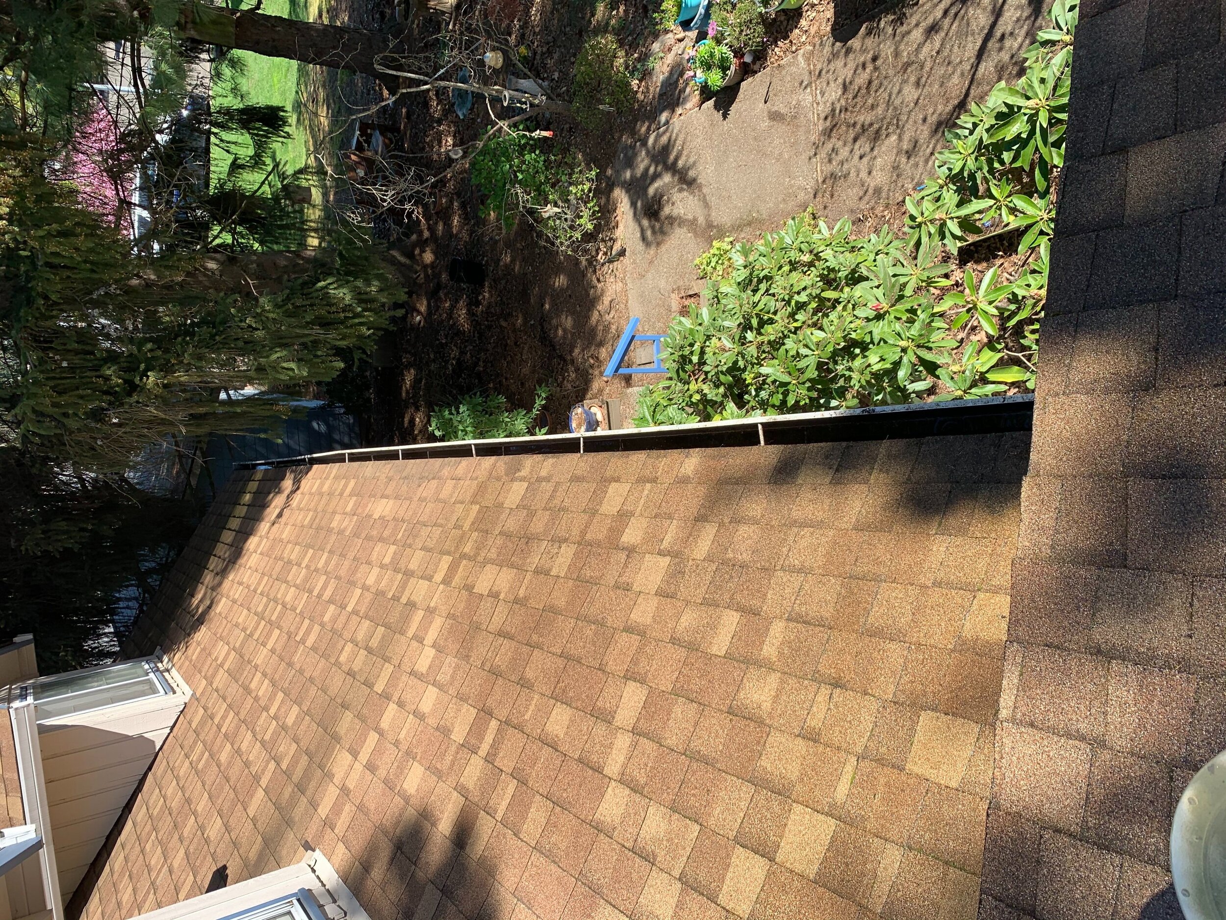 Gutter Cleaning after