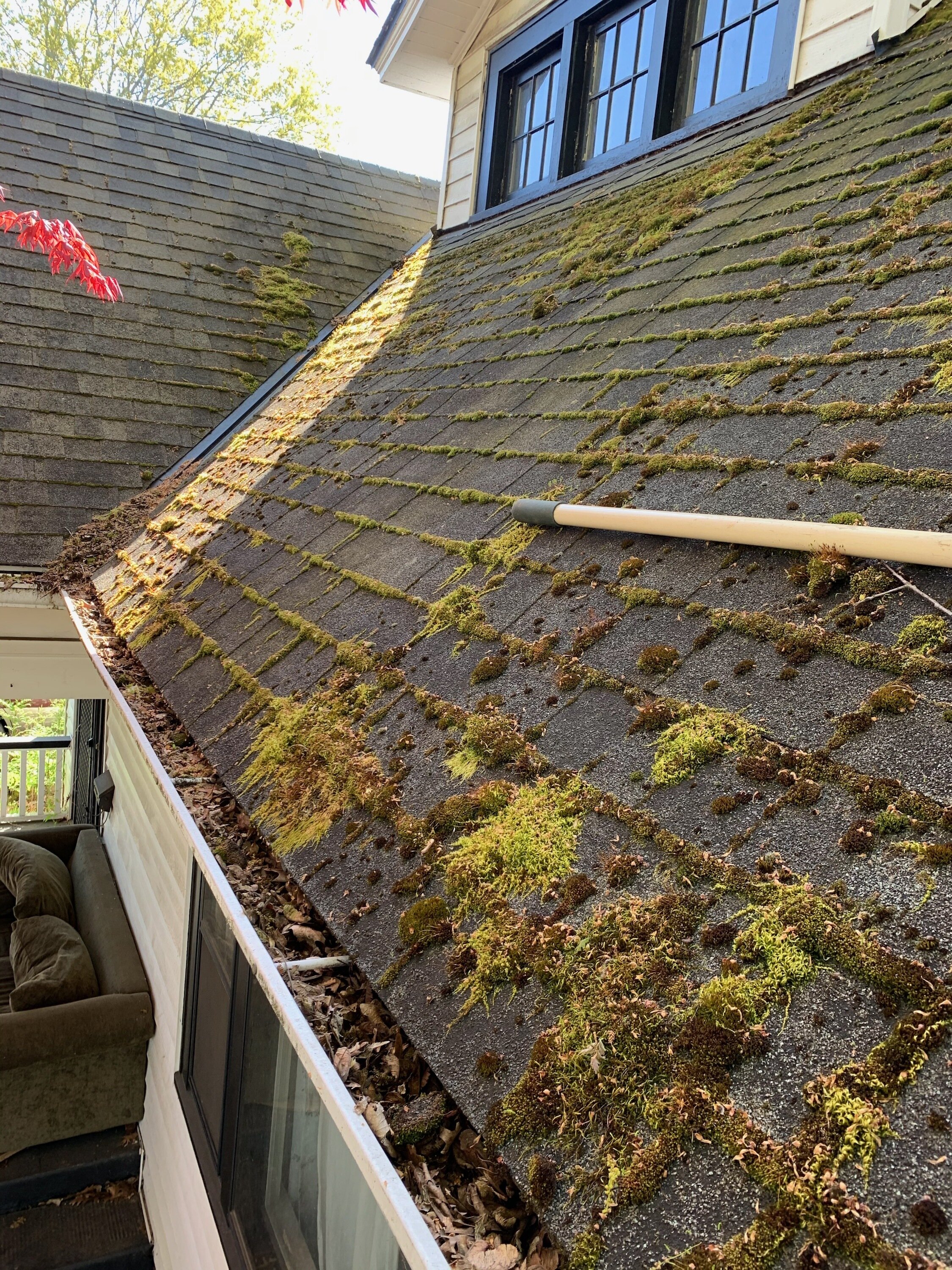 Remove the unsightly Roof Moss 