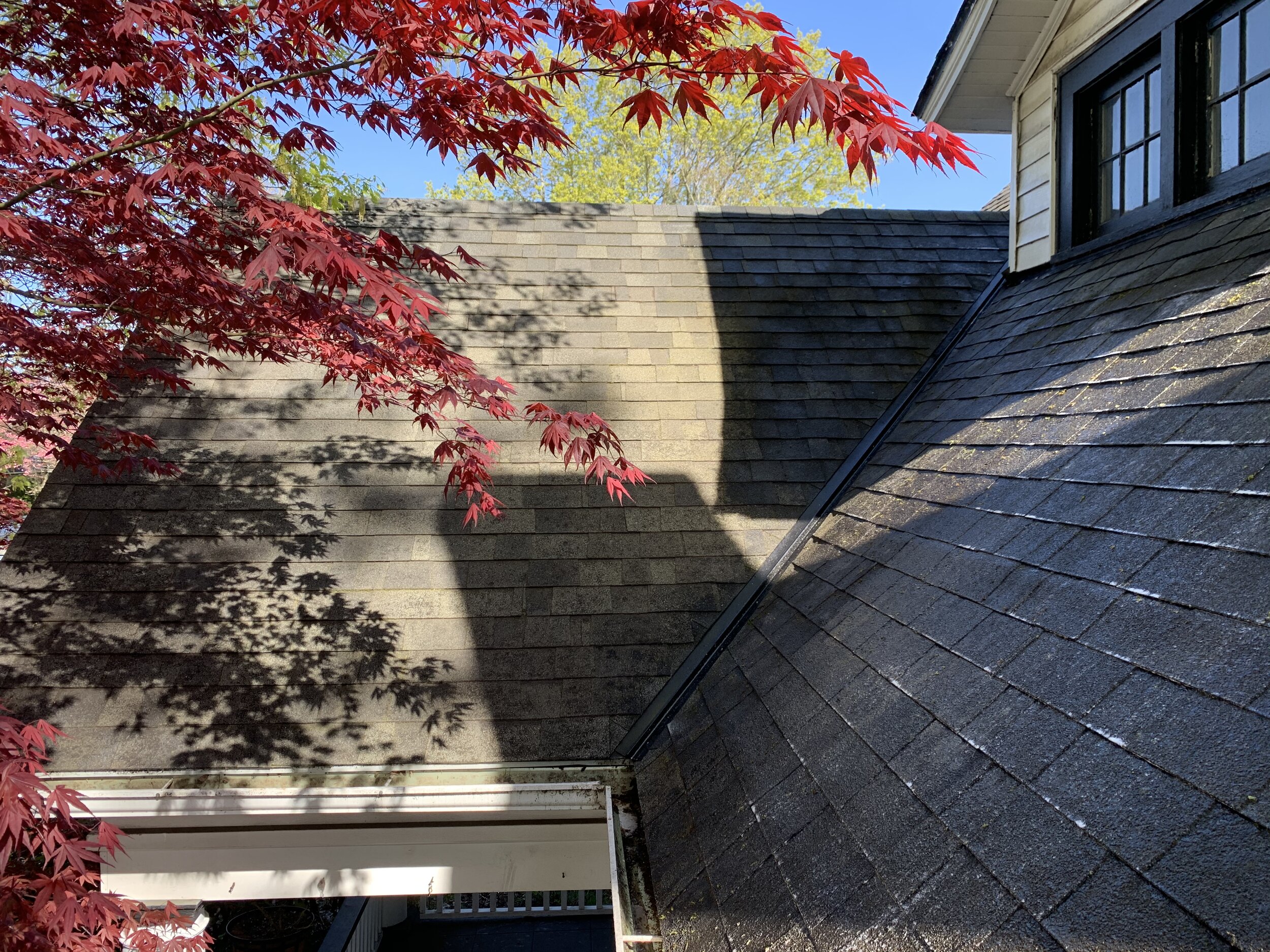 Roof cleaning - Moss removal - Moss preventative spray