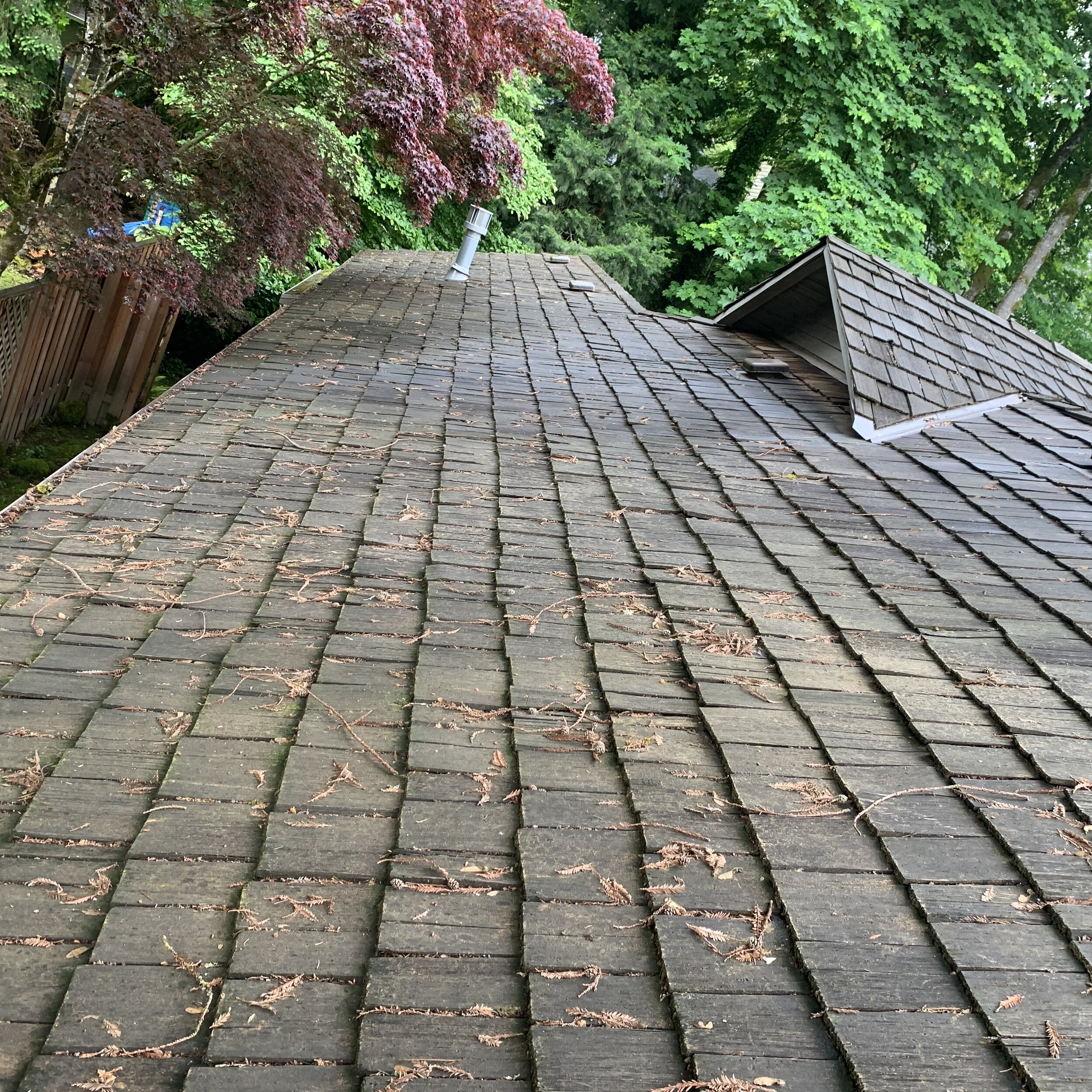 Portland Cedar Shake Roof Cleaning