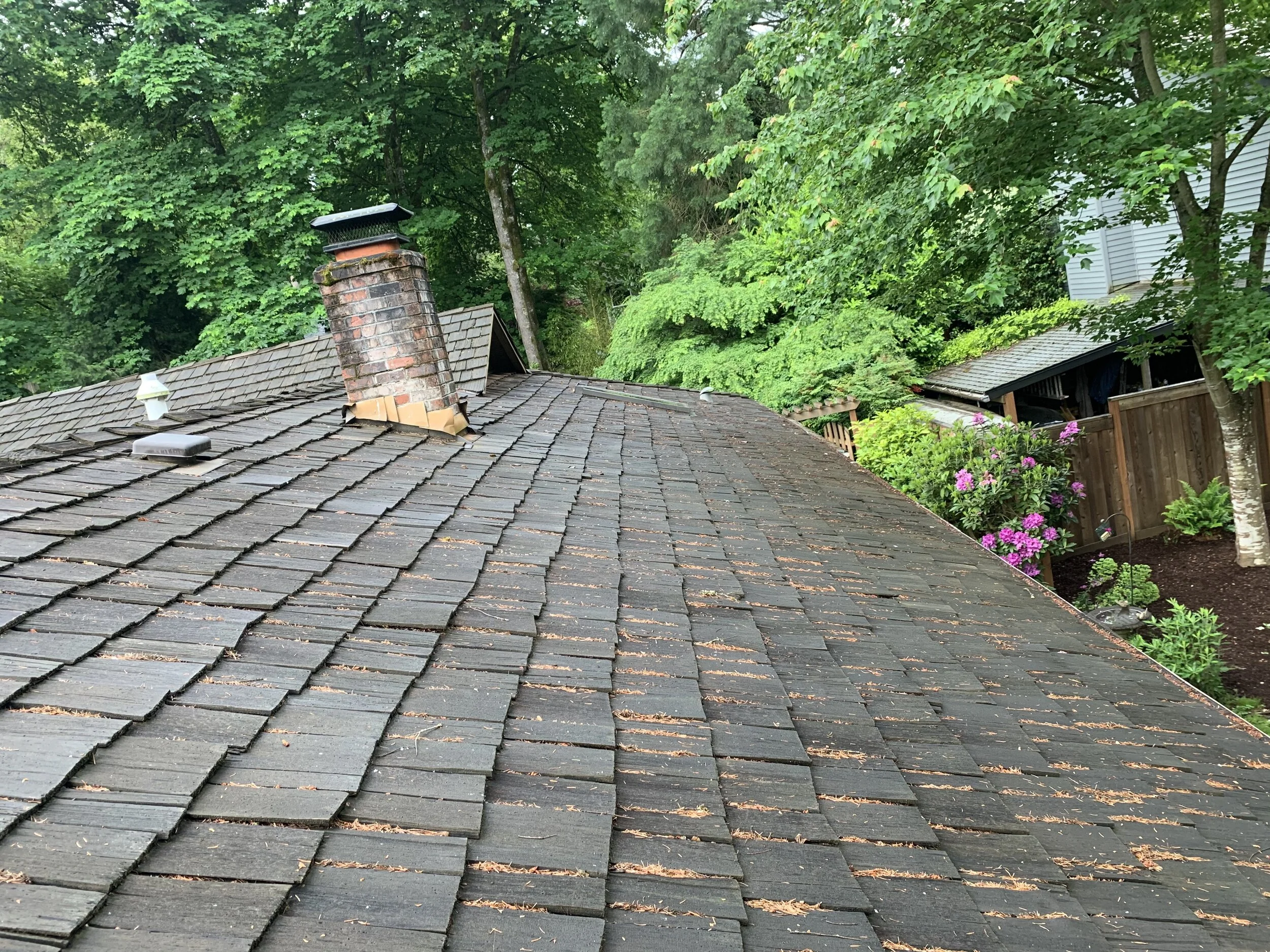 Portland Roof Cleaning Portland Moss Removal Portland Gutter