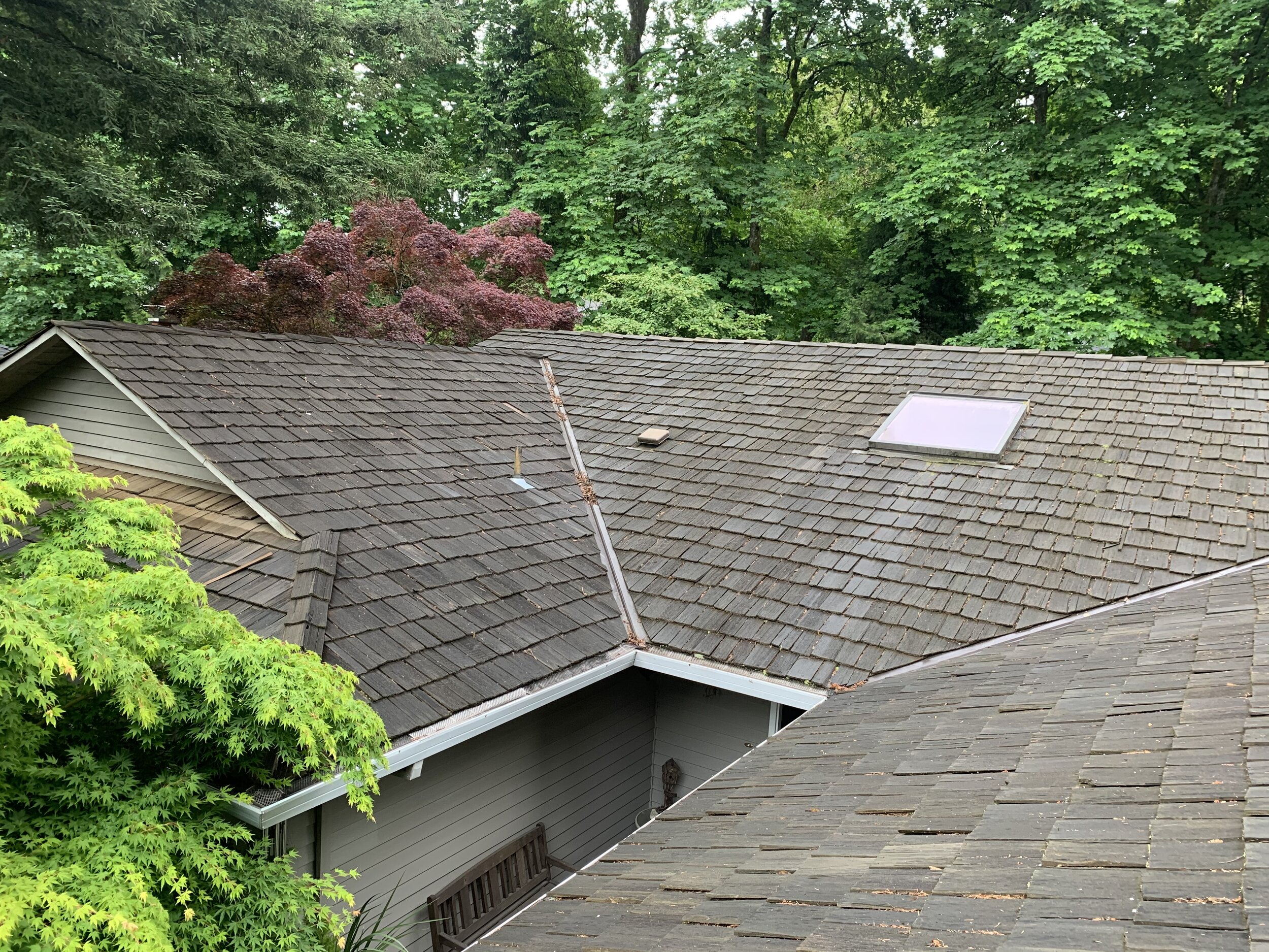 Roof Cleaning in Avondale PA