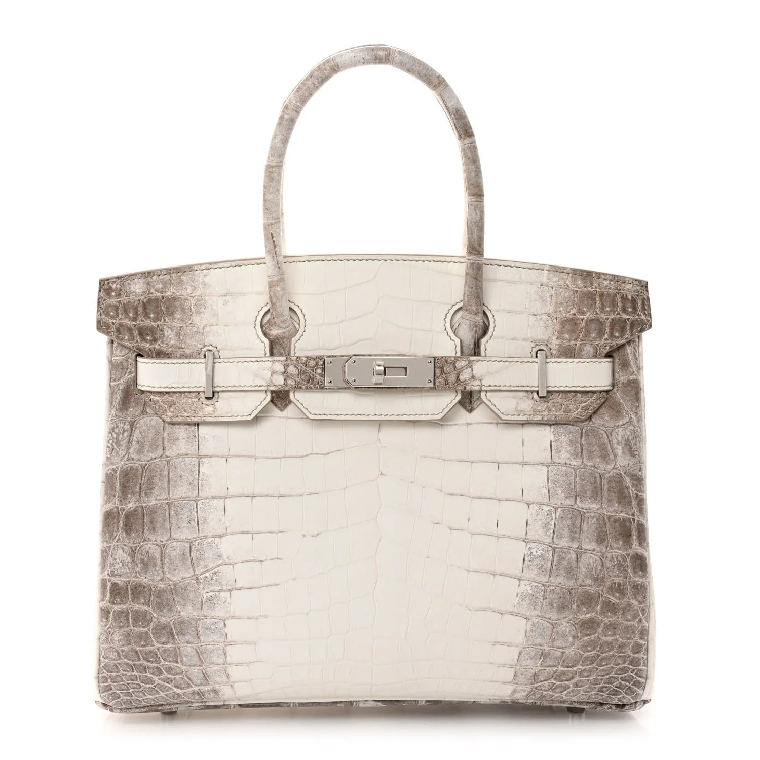 Himalayan Birkin.jpg