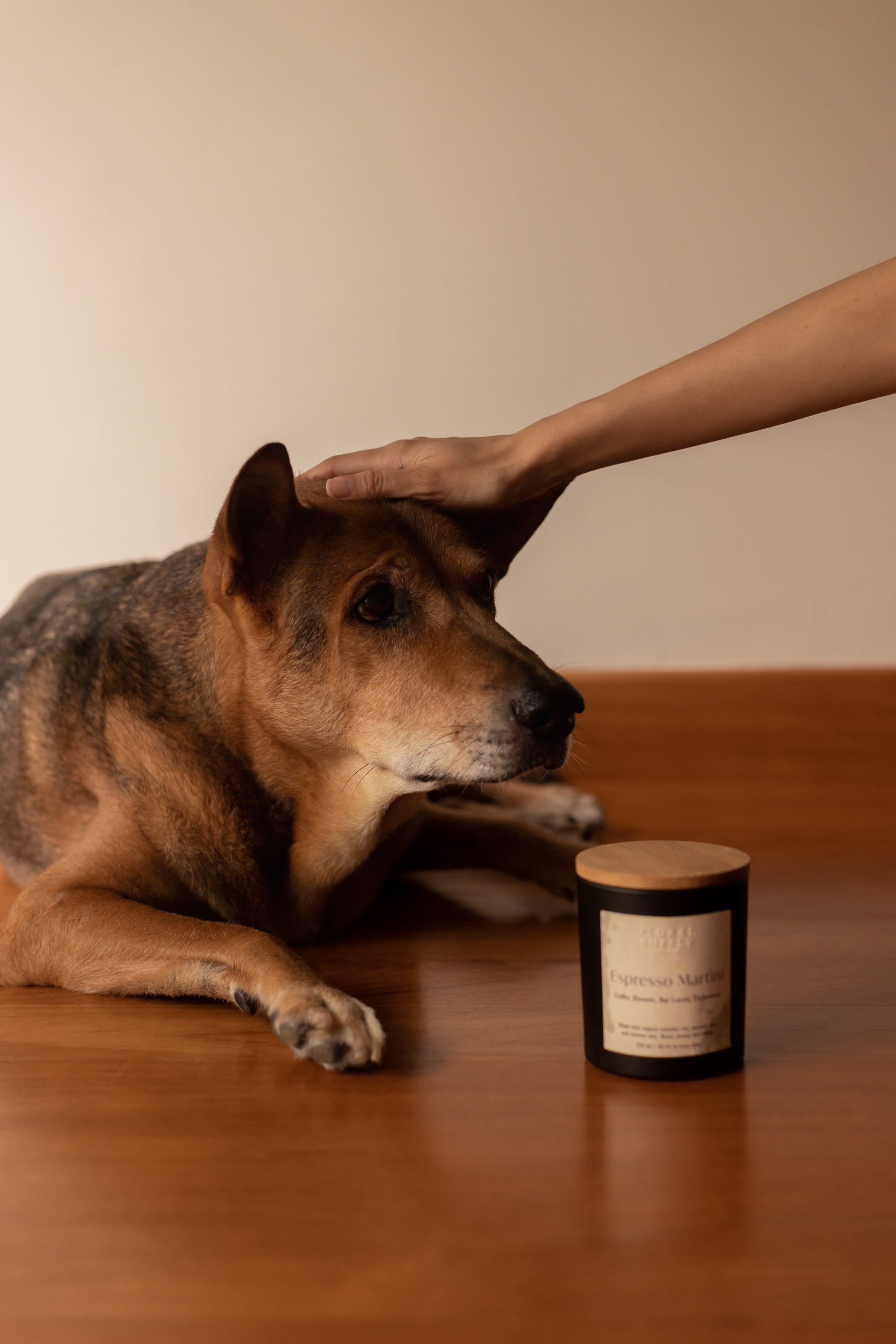 Are Wax Melts Safe For Dogs - Fosse Living