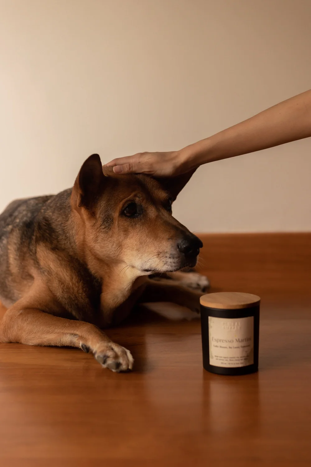 Plural Supply — Are Candles Safe for Dogs?