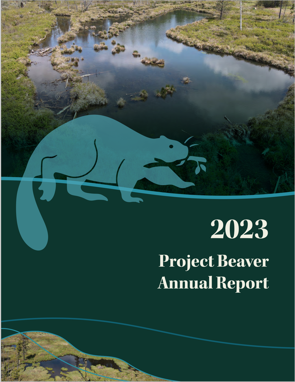 Project Beaver