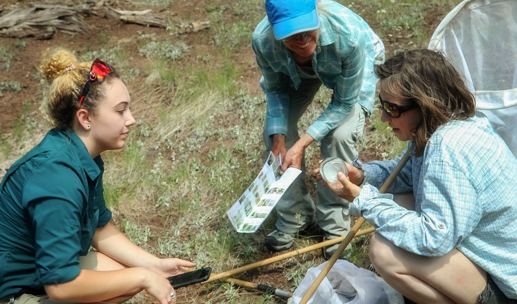 2021 Vesper Meadow intern Vanessa Keck helps volunteers identify a butterfly species.