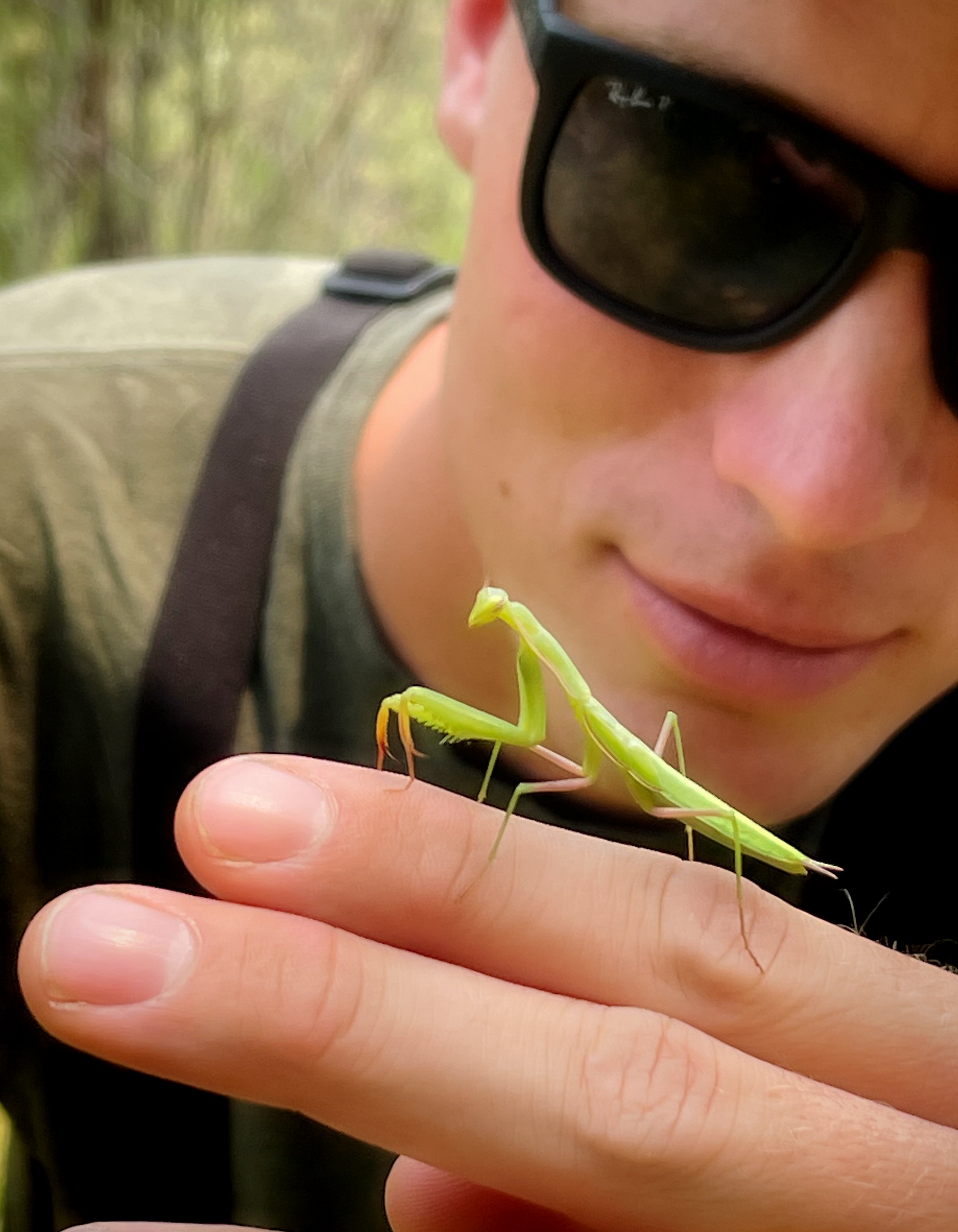 Jakob found a preying mantis!
