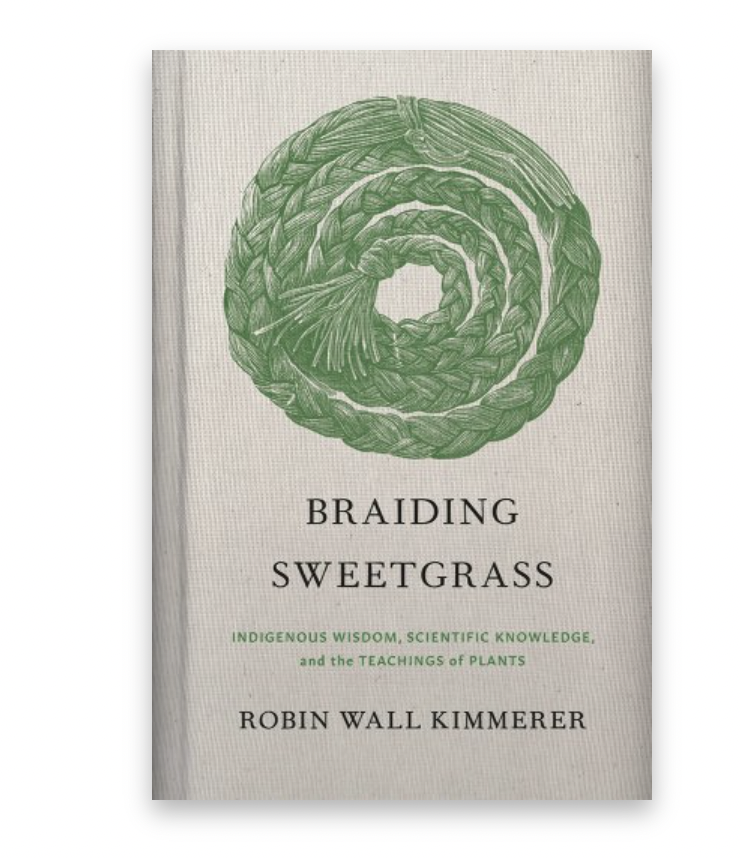 Braiding Sweetgrass Book