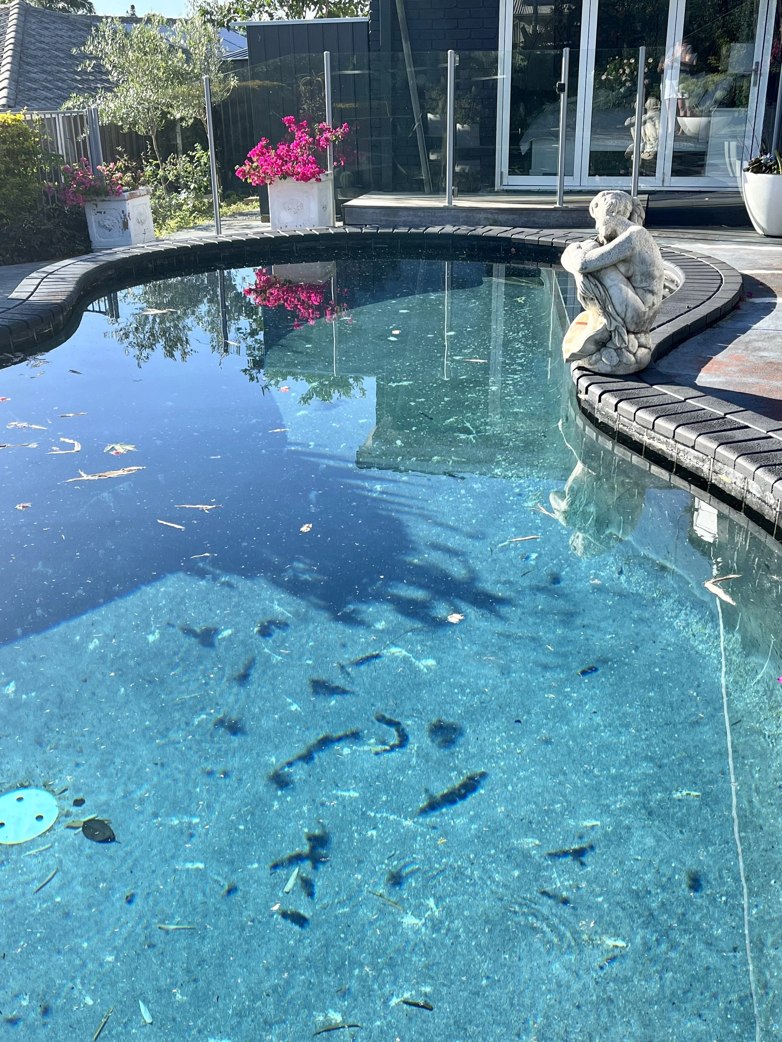 My Bean Shaped Pool