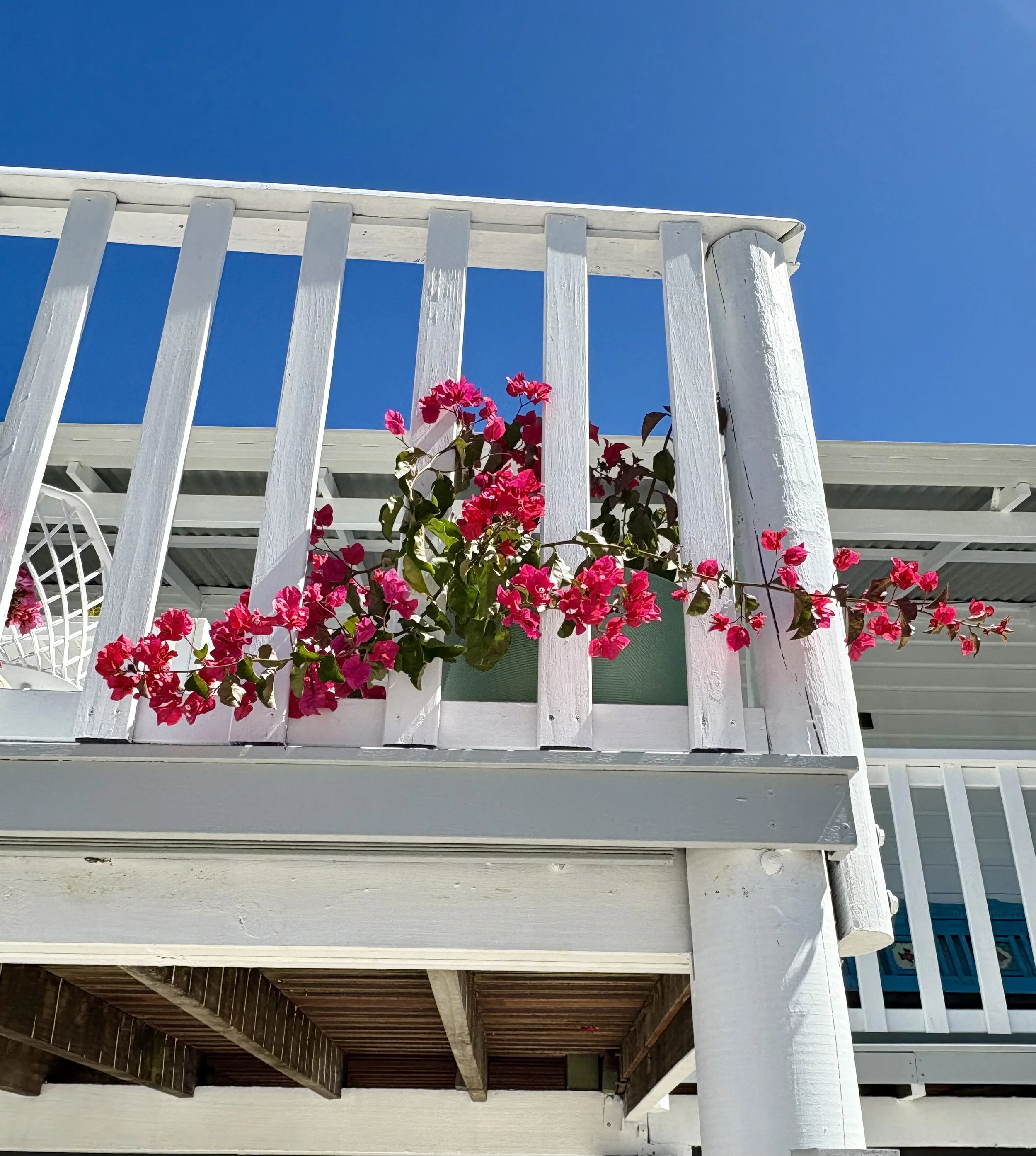 I bought a house on the Internet