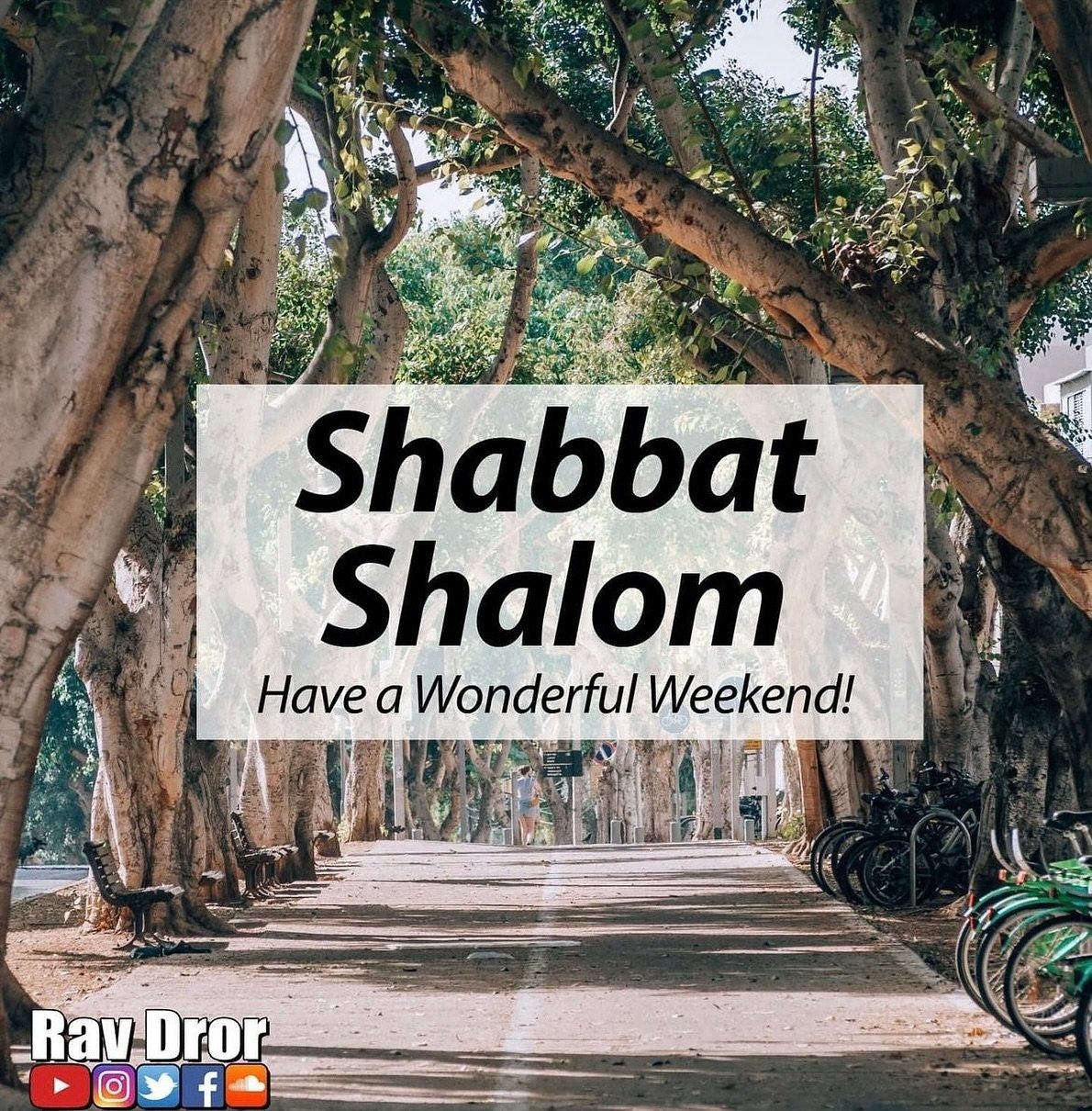 Shabbat shalom!🙏🏽

#ravdror #emunah #shabbatshalom #goodshabbos #jewishpeople