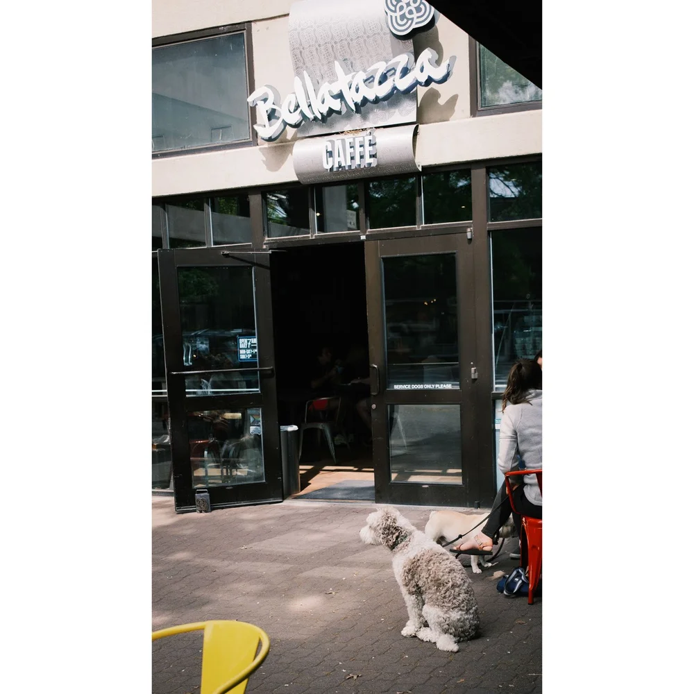 Dog relaxing in front of coffee shop by owner in down town Bend, Oregon