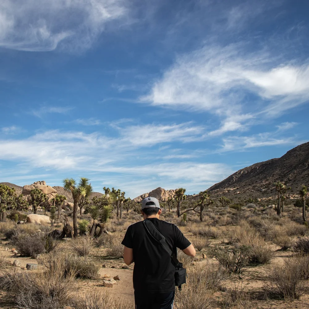 Walking under incredible looking clouds in Joshua Tree National Park