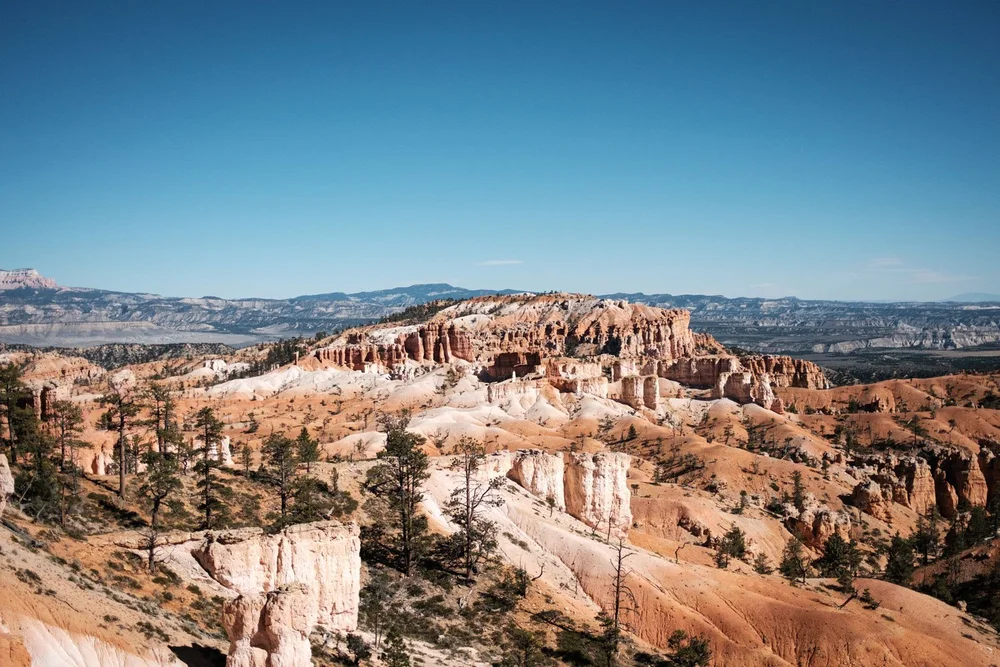 Island of hoodoos spotted on the way up to Sunrise Point in Bryce Canyon