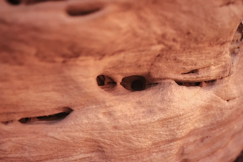 Subway Cave Trail closeup of little holes on rocks