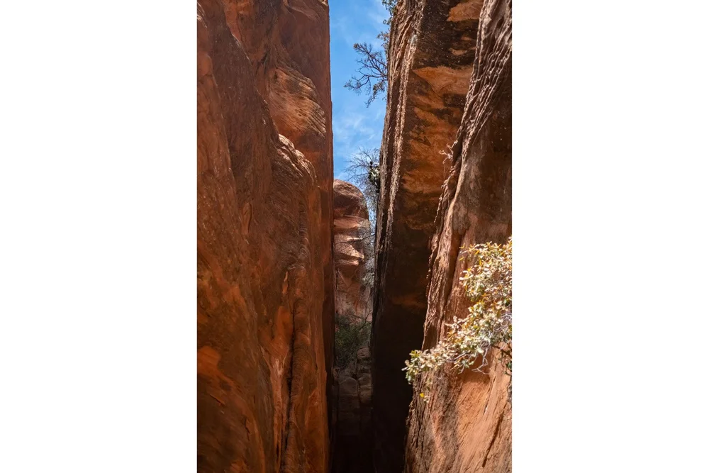 Subway Cave Trail looking up to the subway cave