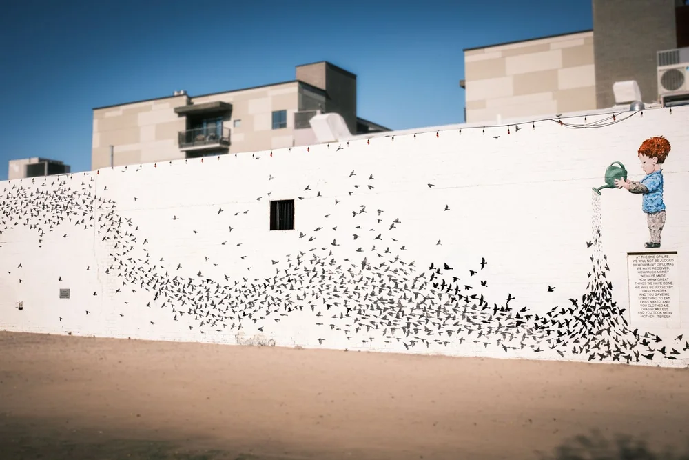 Phoenix downtown Roosevelt Row mural the garden wide view