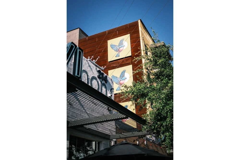 Phoenix downtown Roosevelt Row street art on side of building wall