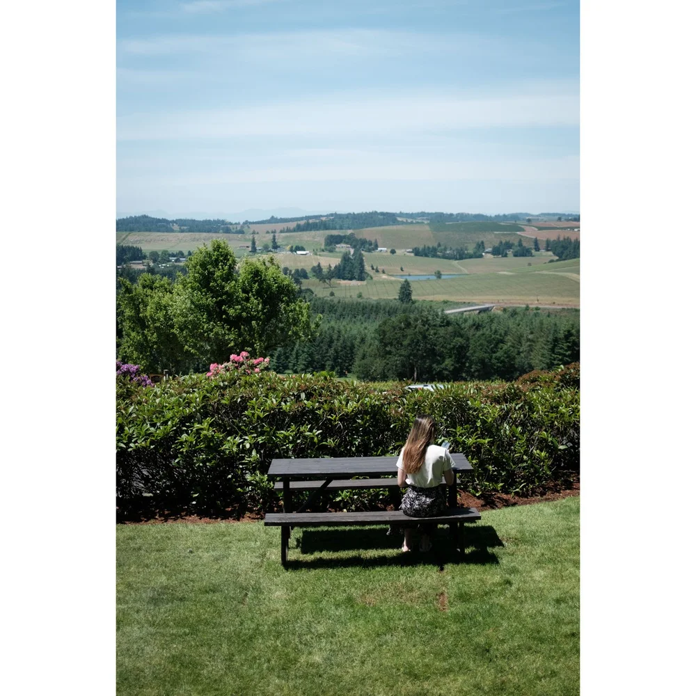 Oregon Willamette Valley Vineyards enjoying a sunny day on picnic table