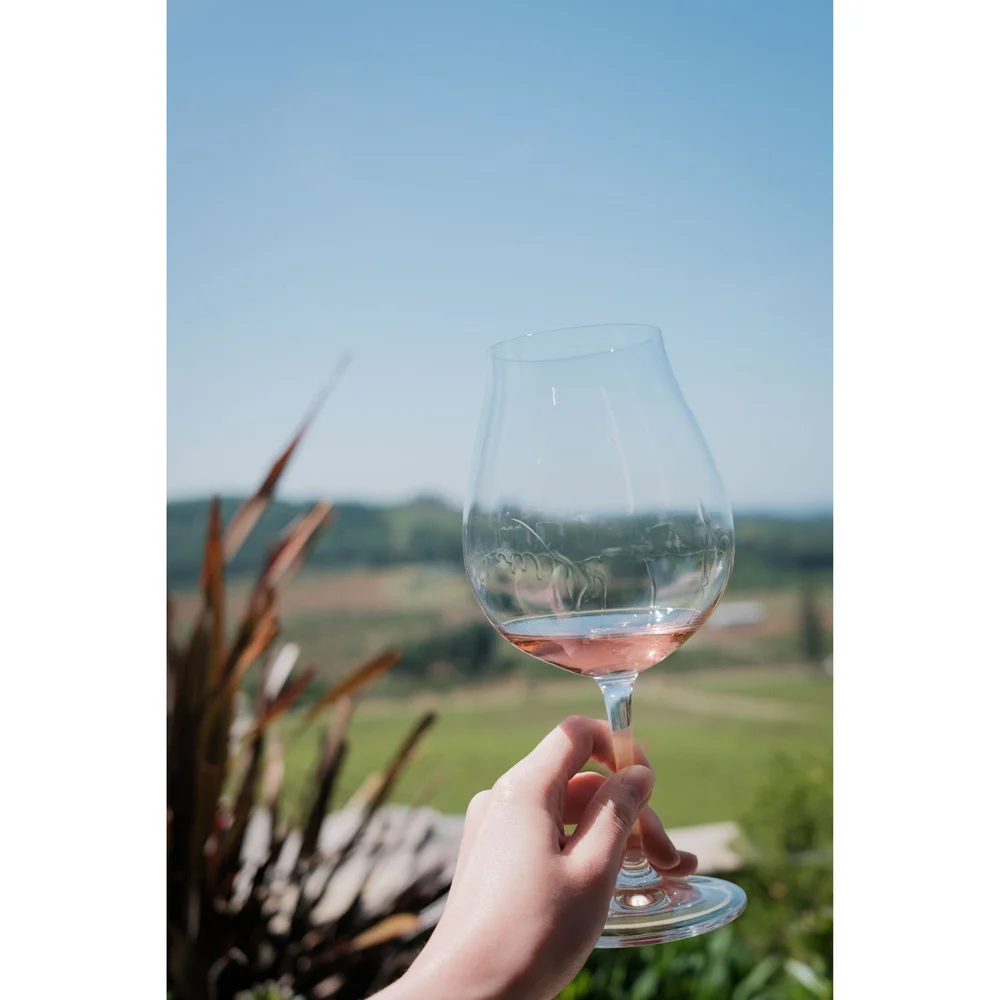 Oregon Willamette Valley Vineyards rose wine tasting