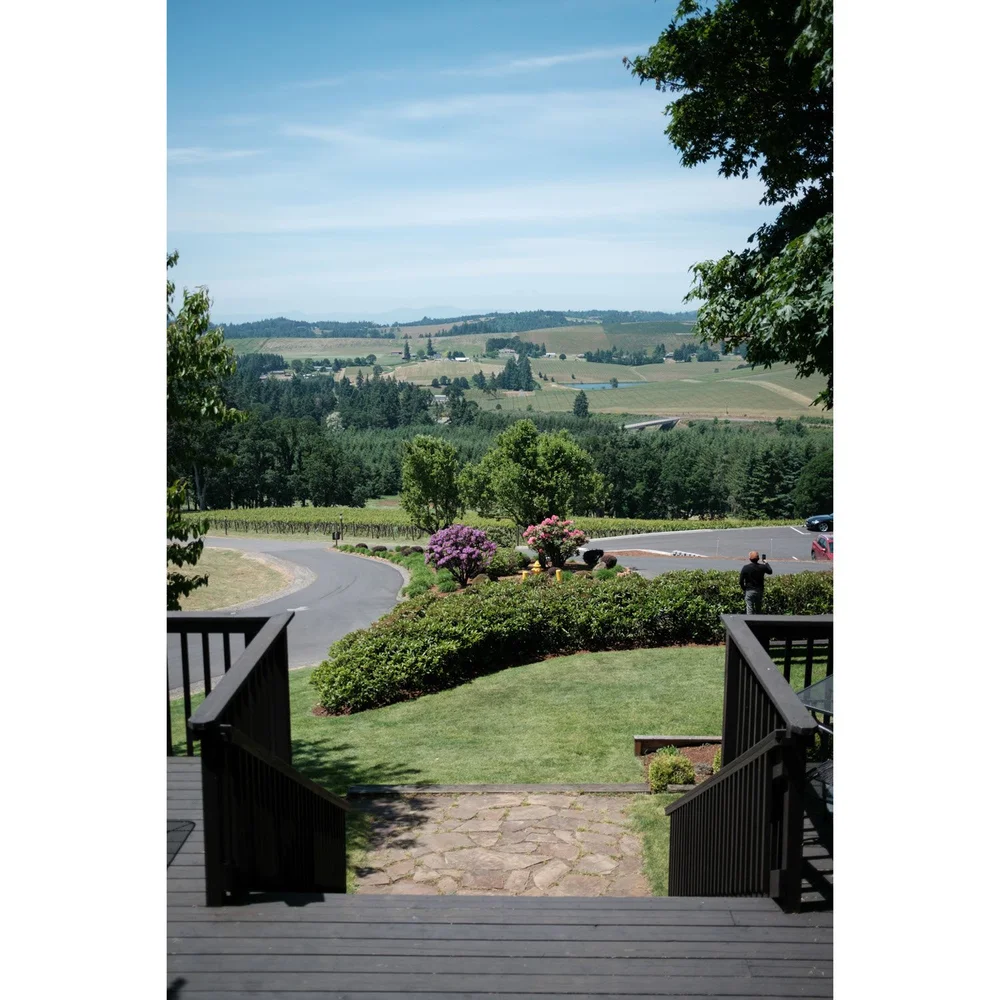 Oregon Willamette Valley Vineyards view from a deck