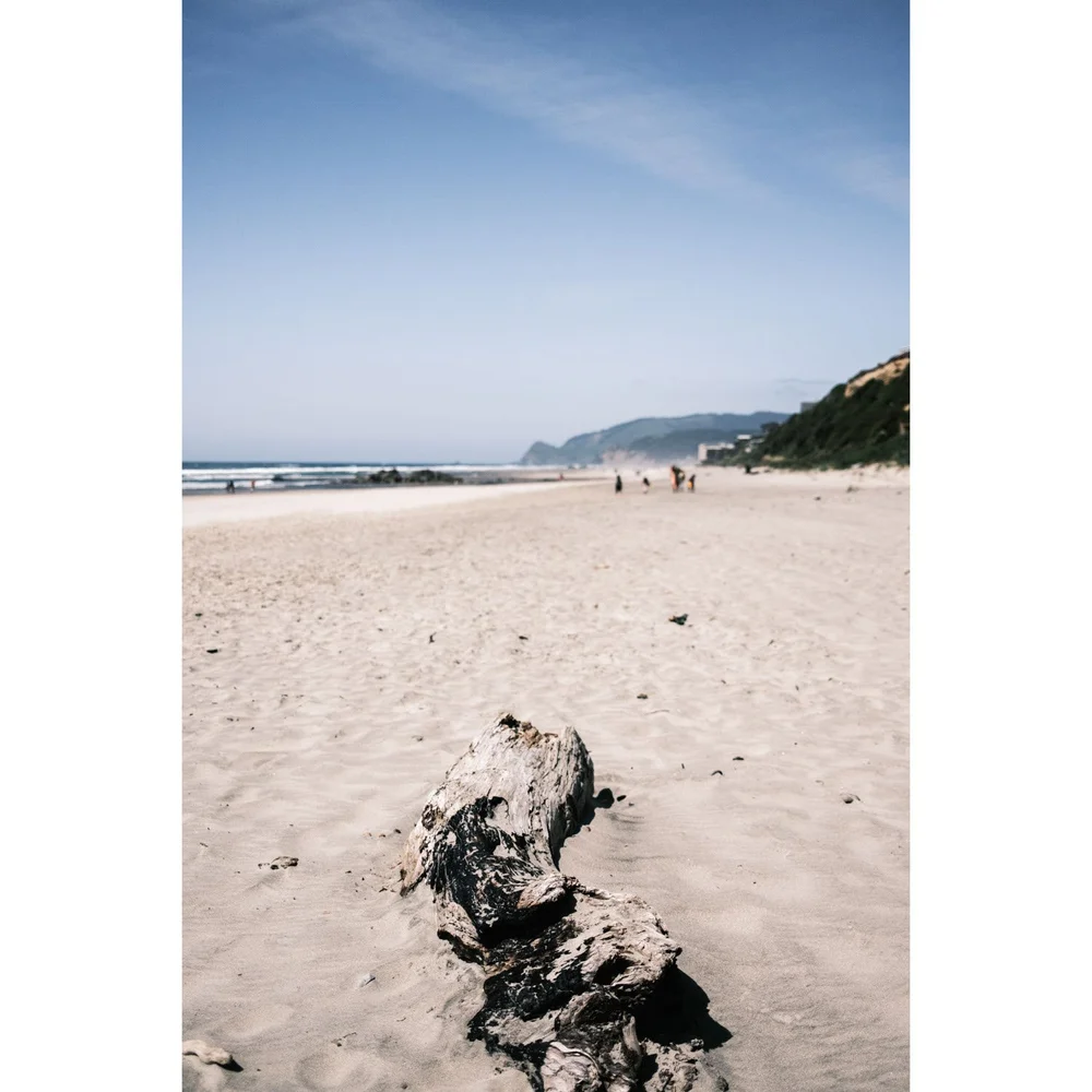 Oregon Lincoln City Beach tree log on the beach