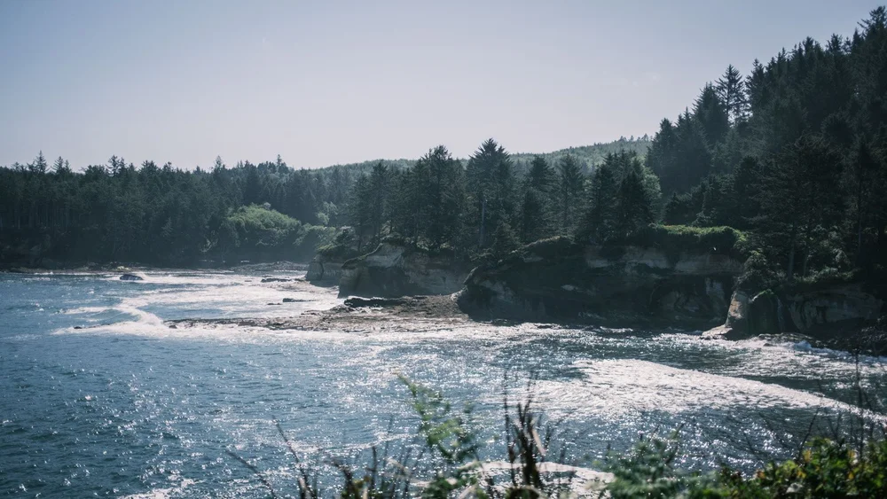 Oregon Boiler Bay State Scenic Viewpoint sunny coast cliffs and forest