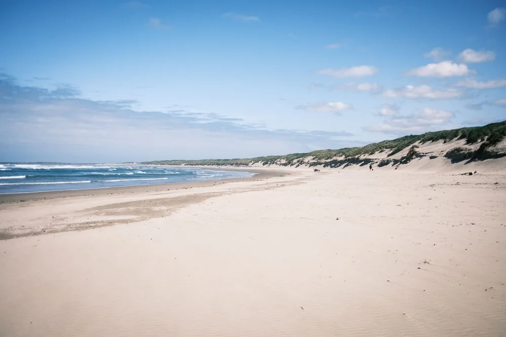 Oregon South Beach State Park northern view of beach