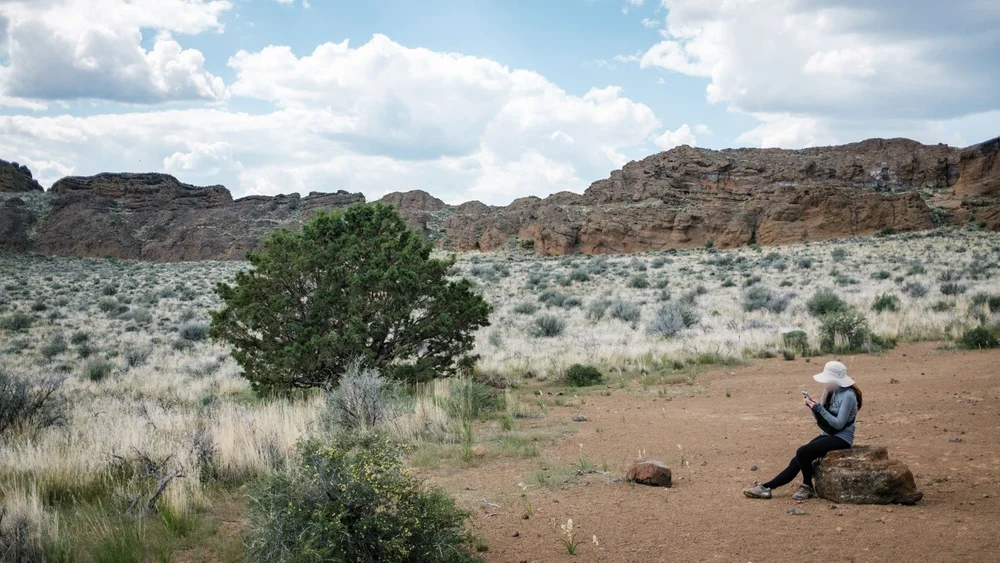 Fort Rock, Oregon, vegetation inside the crescent shaped rock formations